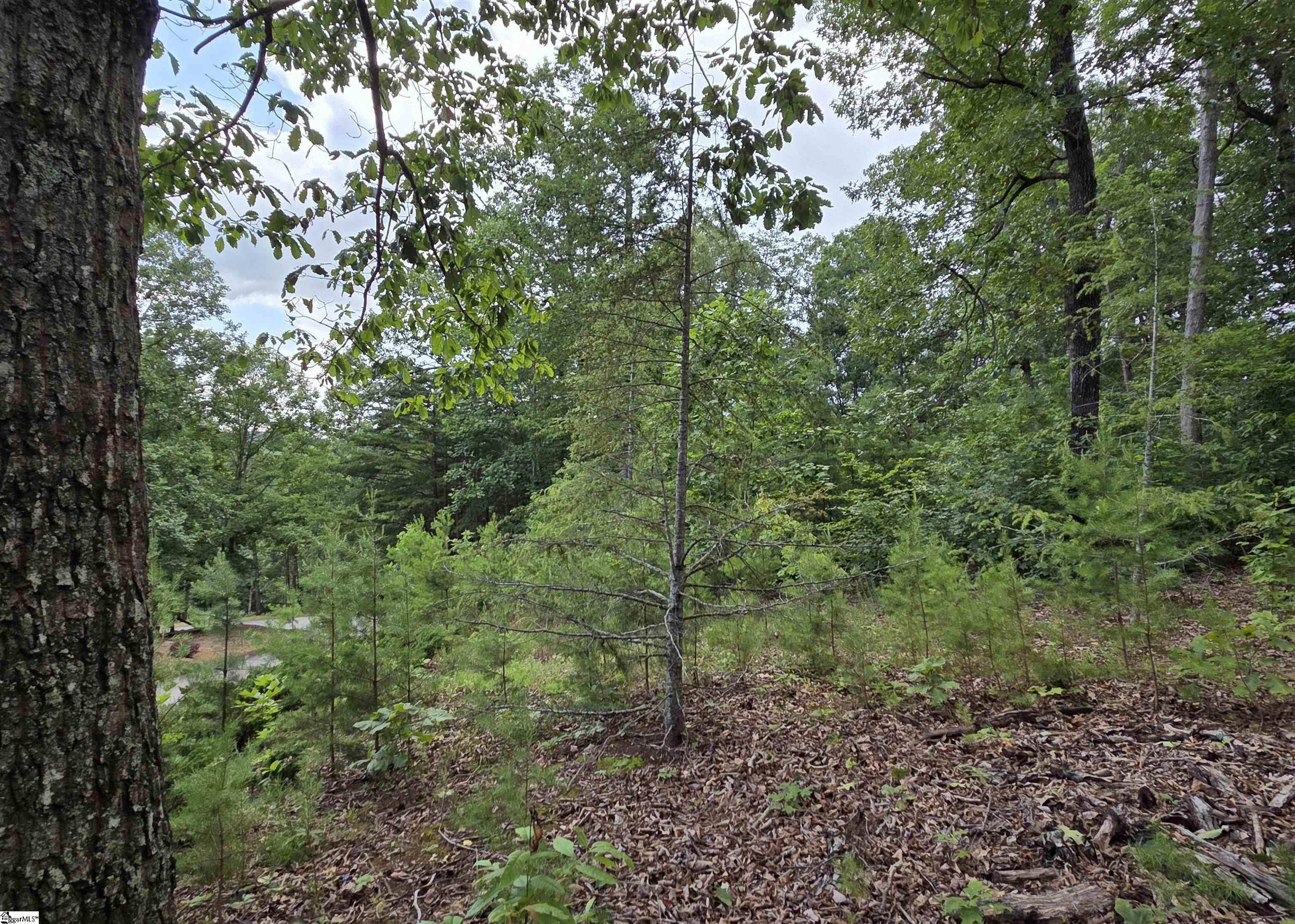219 Luberon Lane Travelers Rest, SC 29690