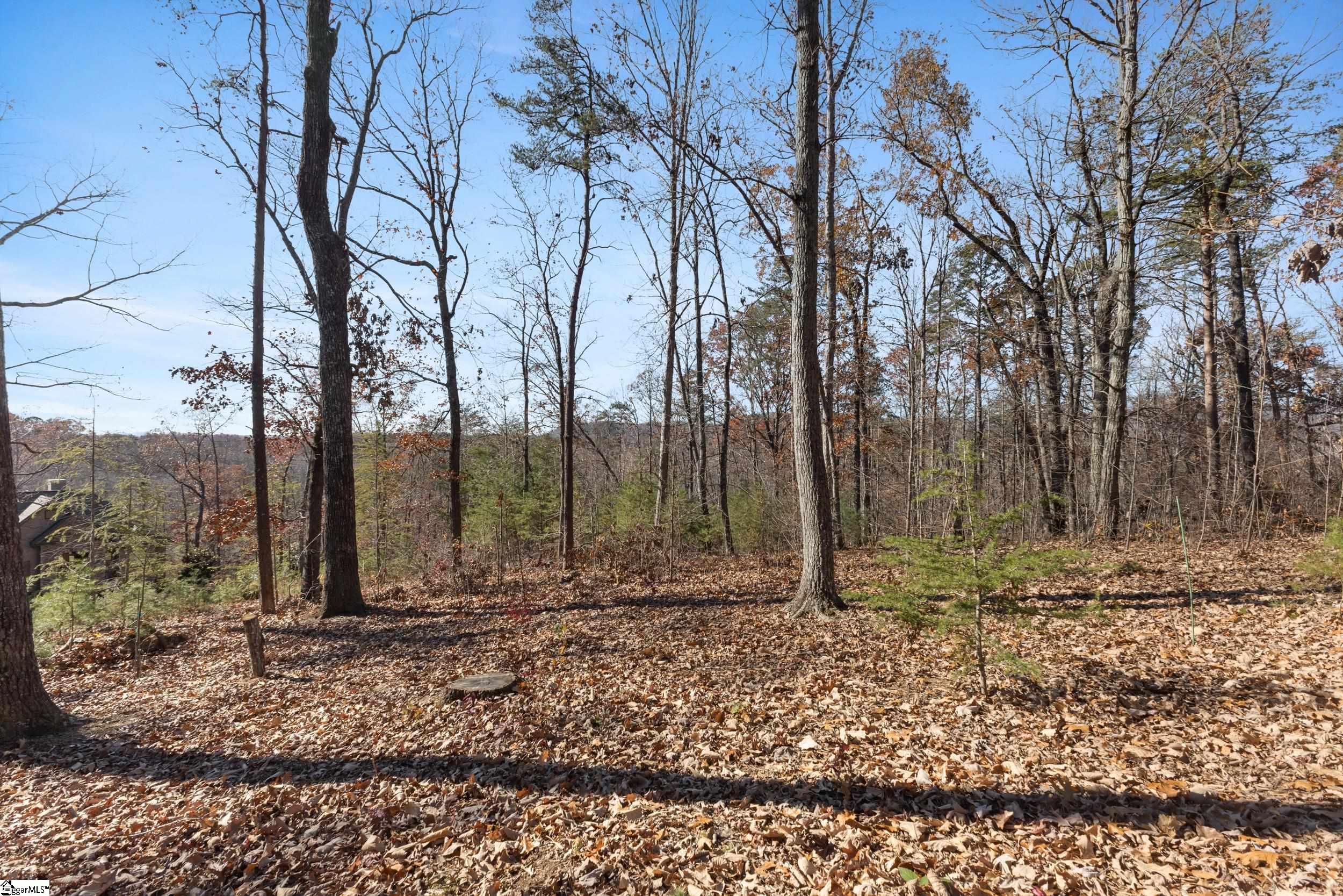 219 Luberon Lane Travelers Rest, SC 29690