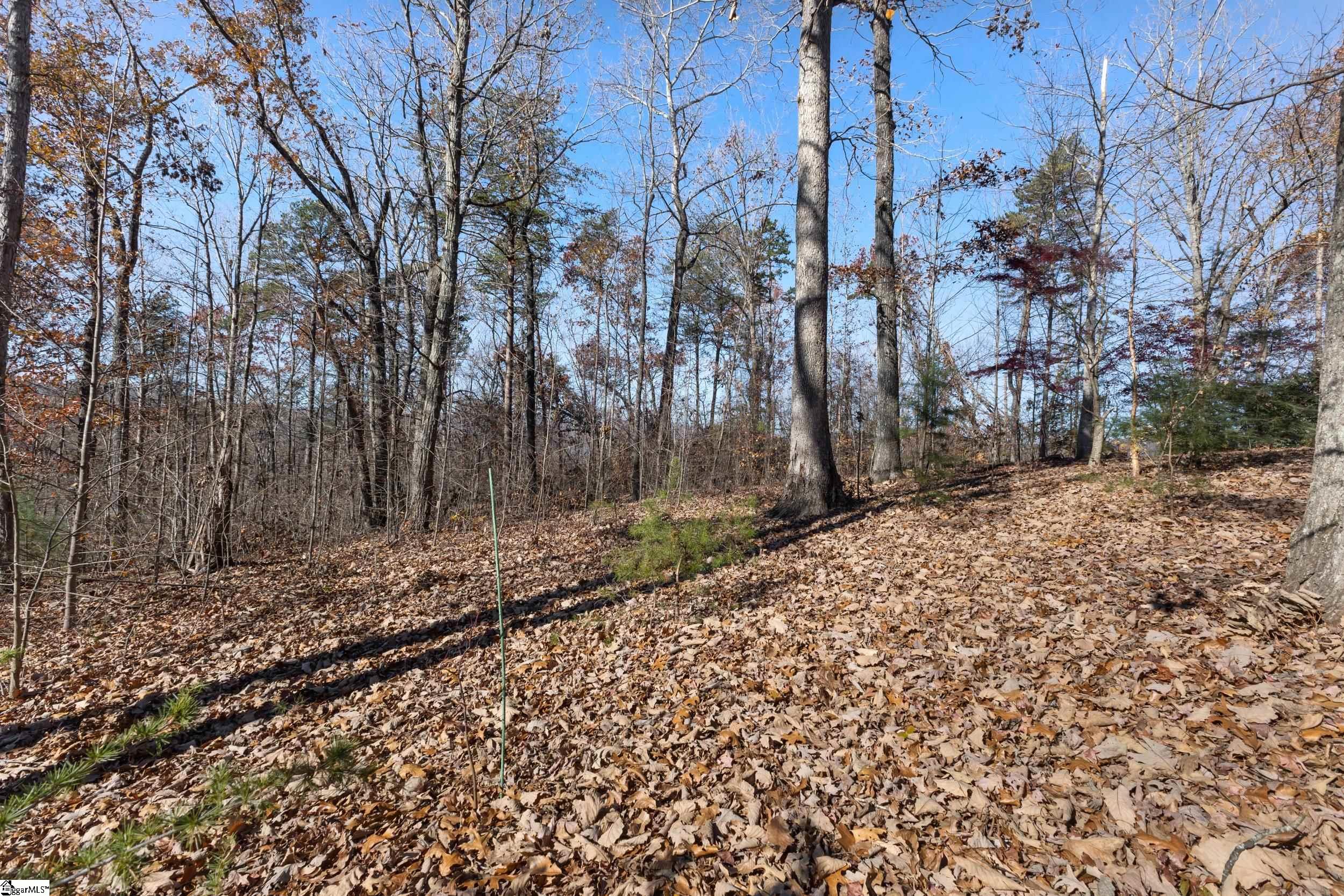 219 Luberon Lane Travelers Rest, SC 29690