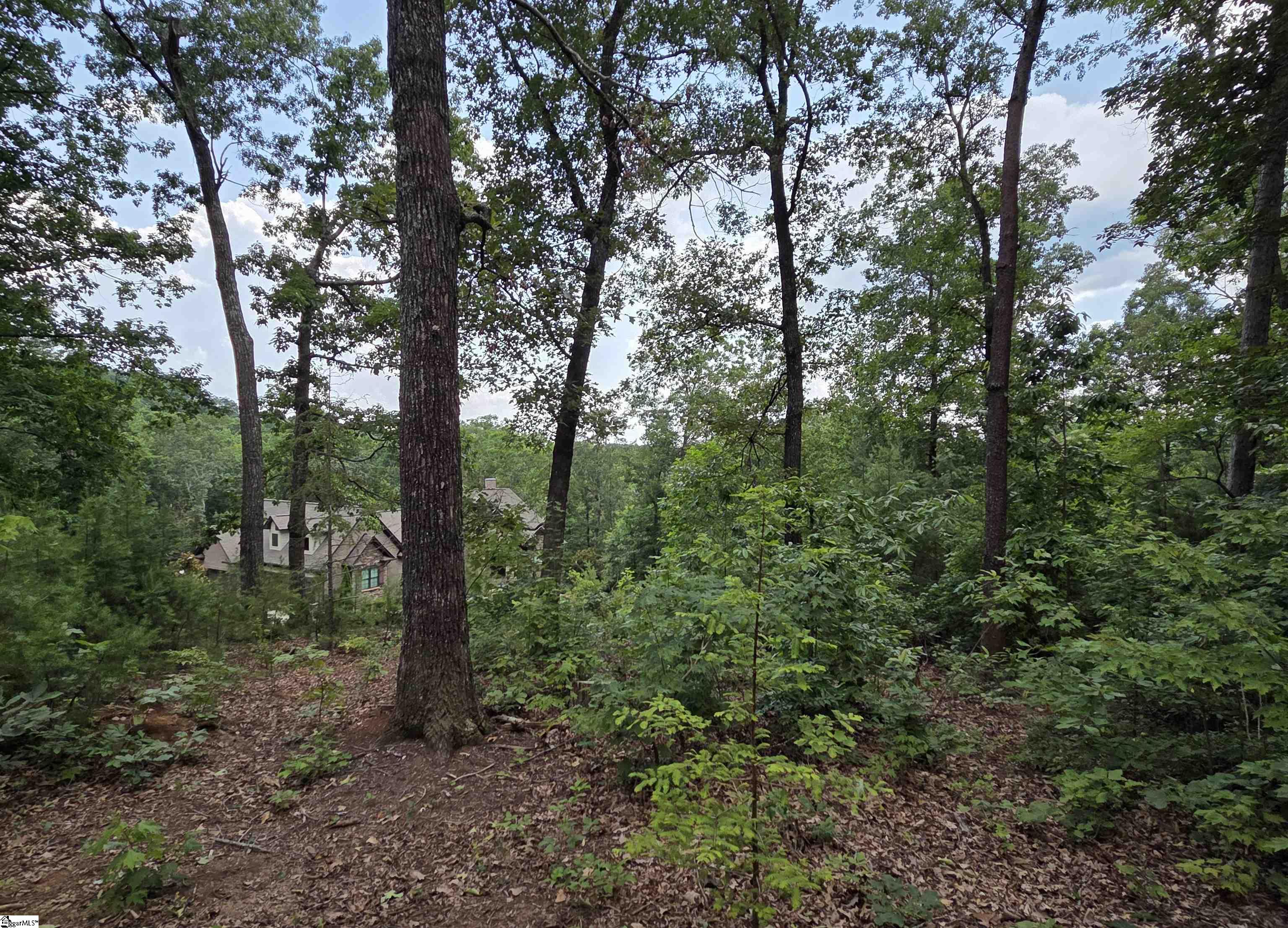 219 Luberon Lane Travelers Rest, SC 29690