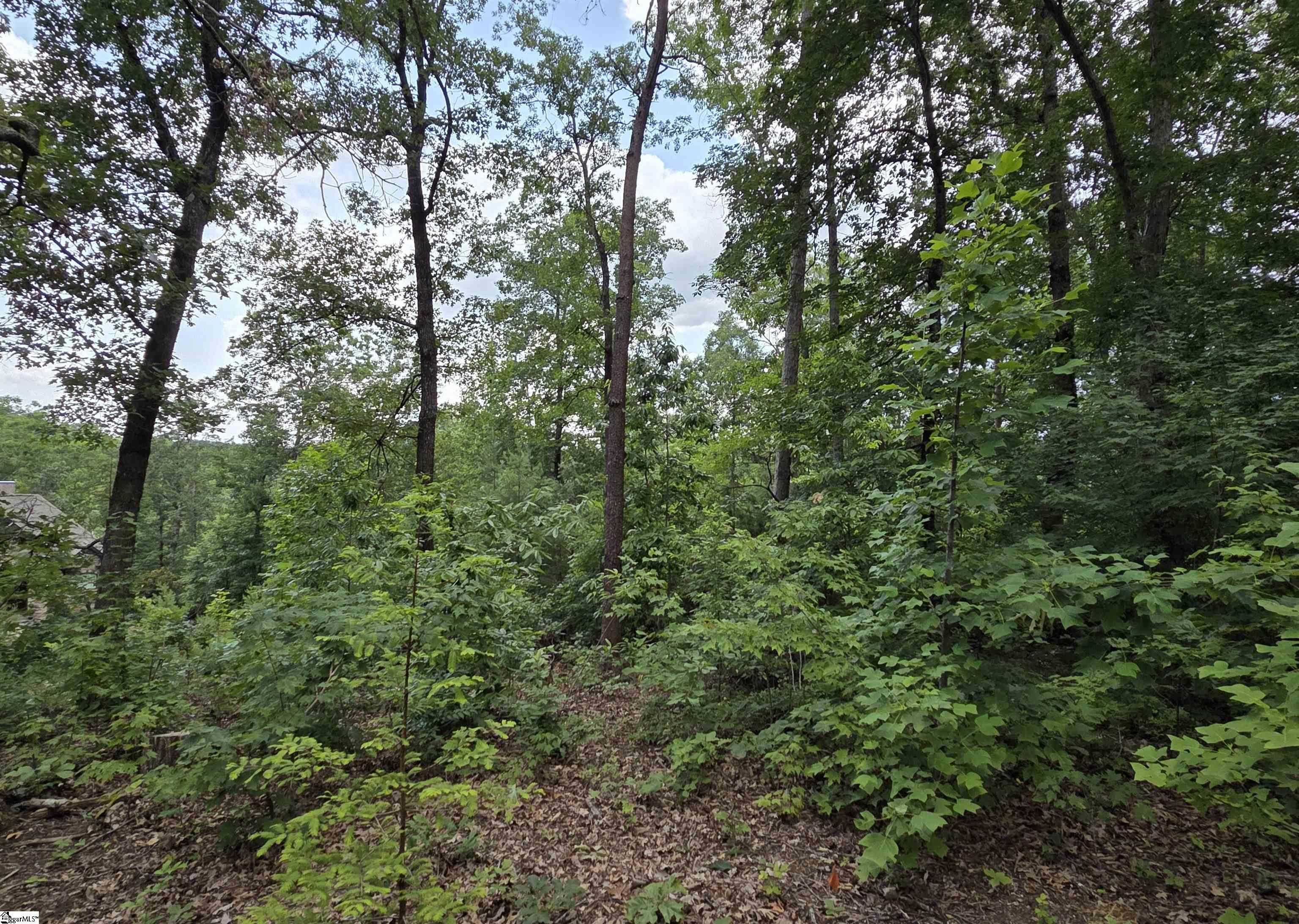 219 Luberon Lane Travelers Rest, SC 29690