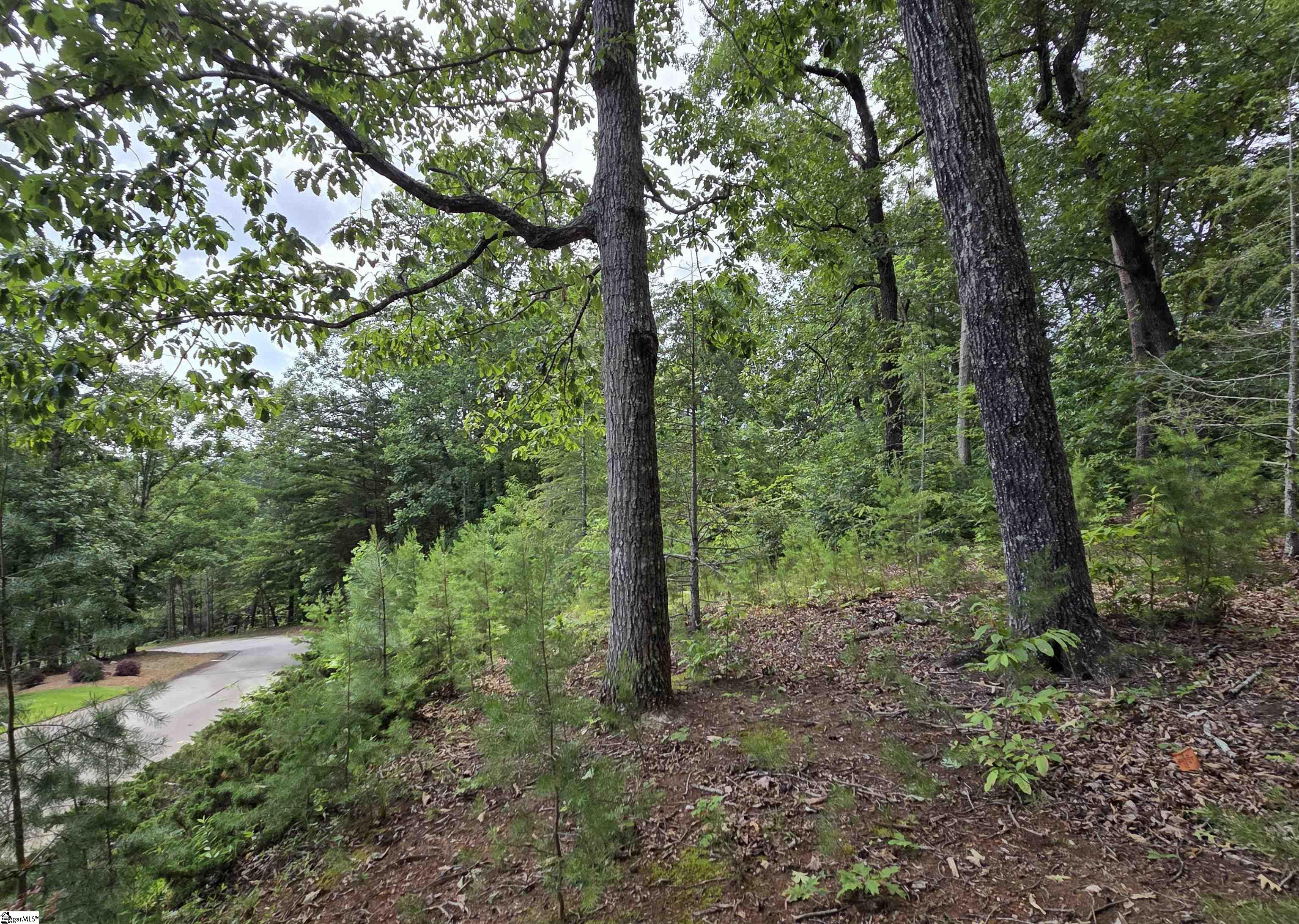 219 Luberon Lane Travelers Rest, SC 29690