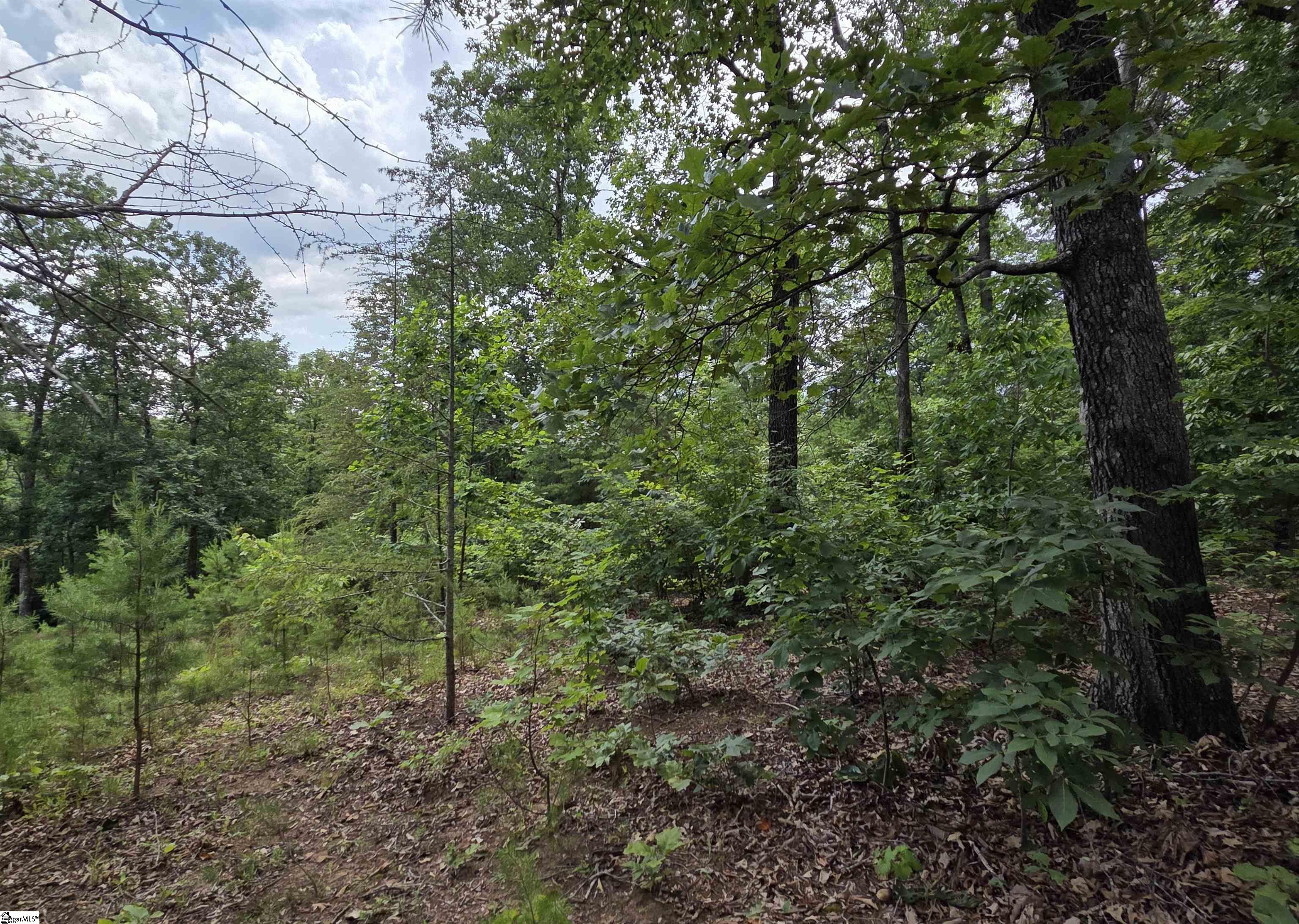 219 Luberon Lane Travelers Rest, SC 29690