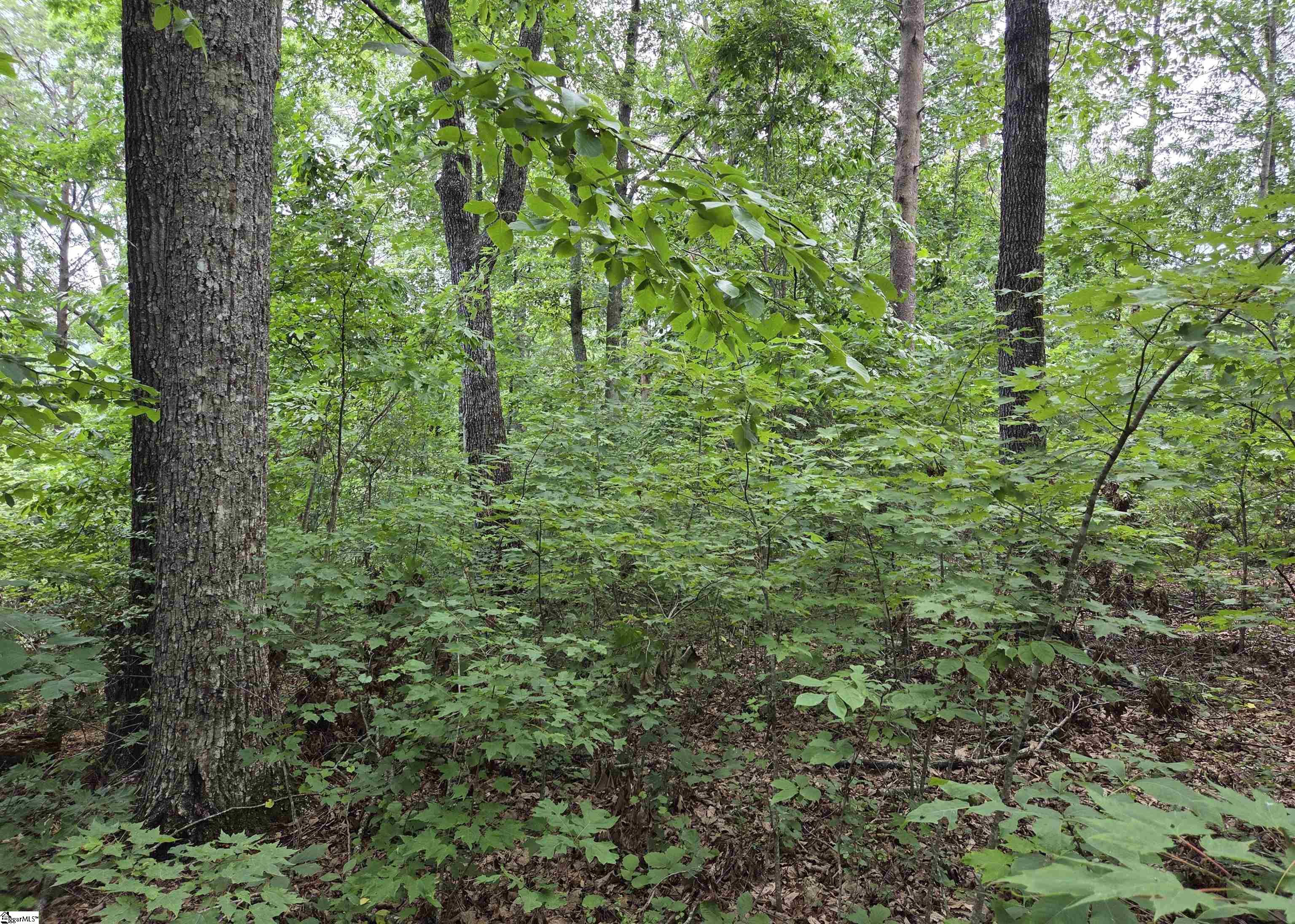 219 Luberon Lane Travelers Rest, SC 29690