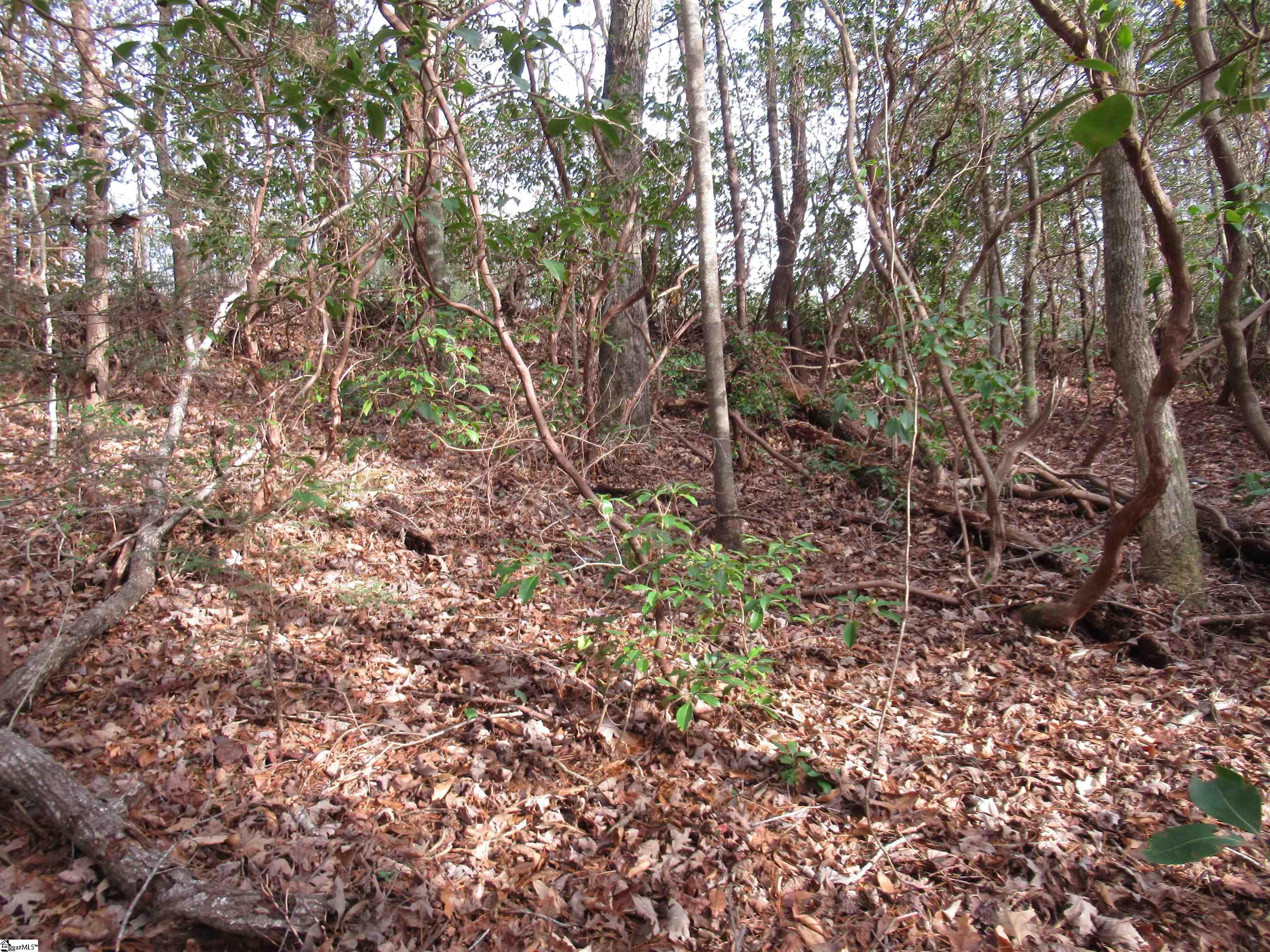 213 Falcon Crest Way Pickens, SC 29671