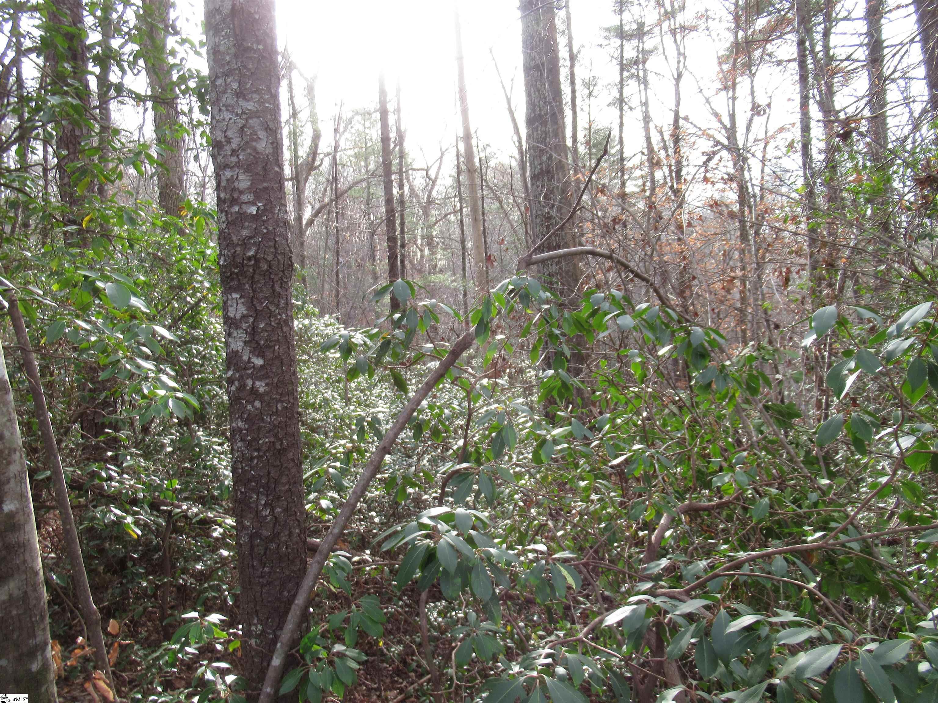 213 Falcon Crest Way Pickens, SC 29671