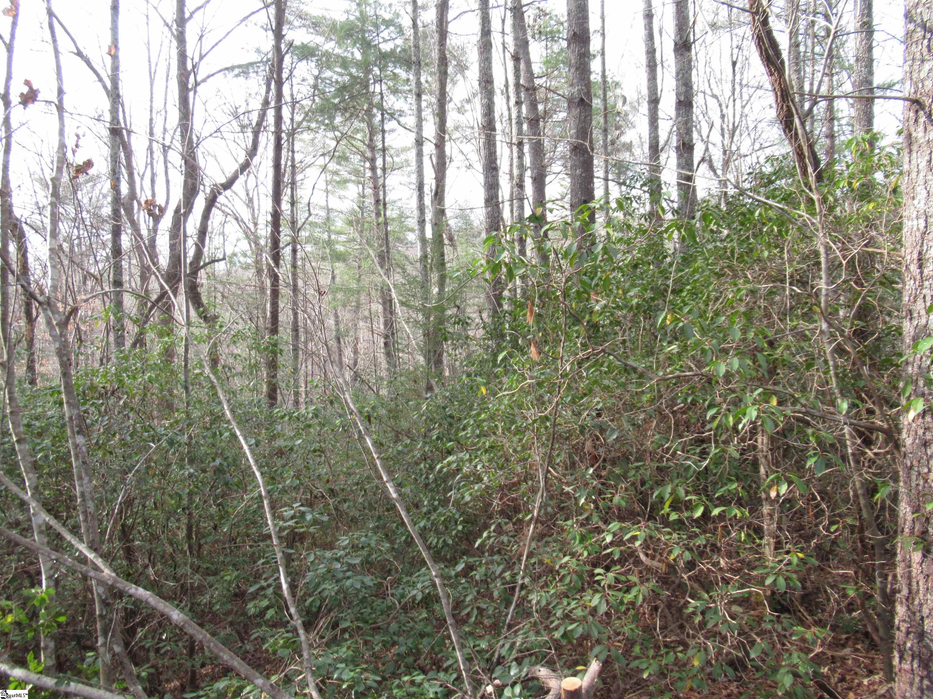213 Falcon Crest Way Pickens, SC 29671