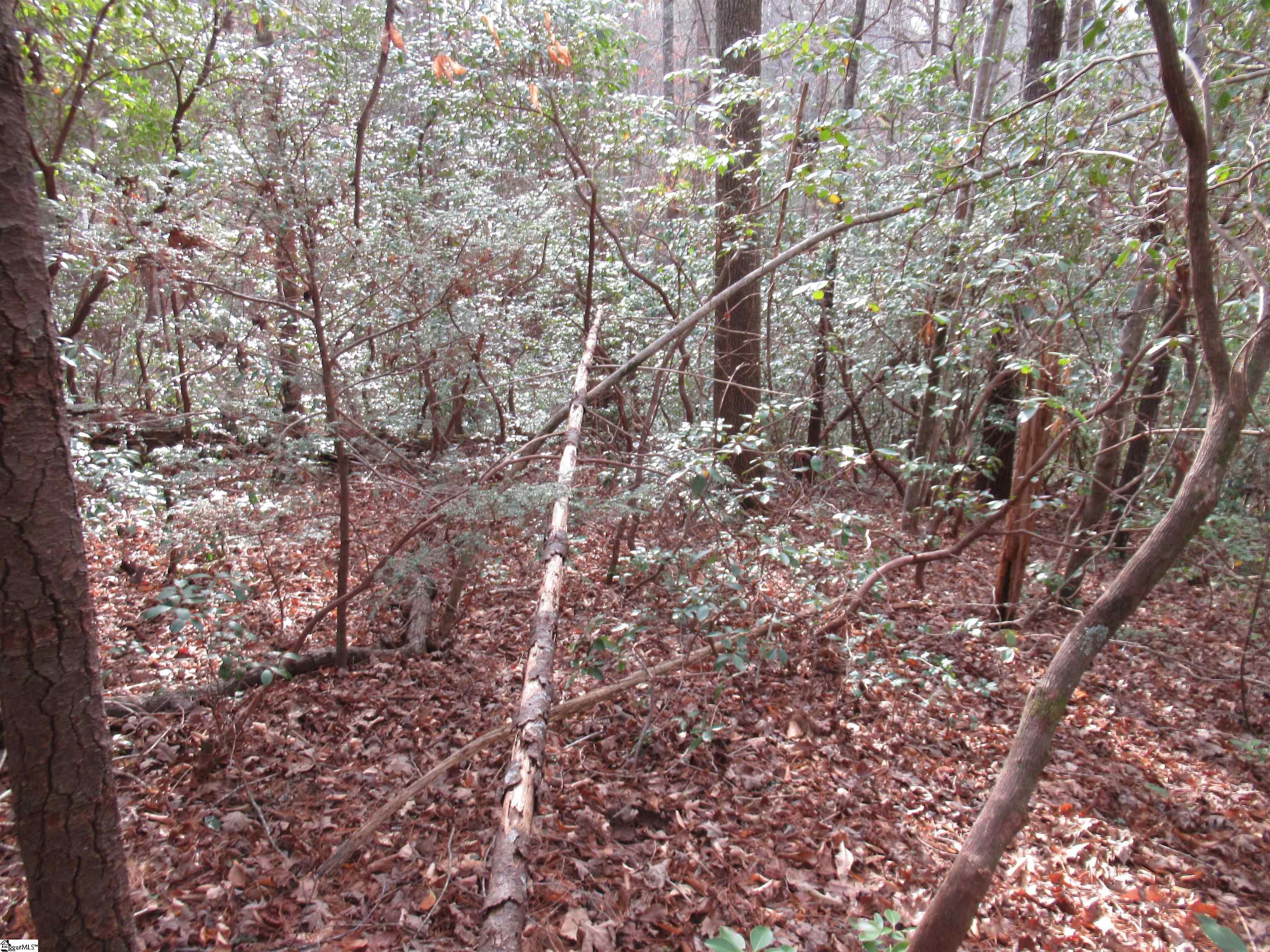 213 Falcon Crest Way Pickens, SC 29671
