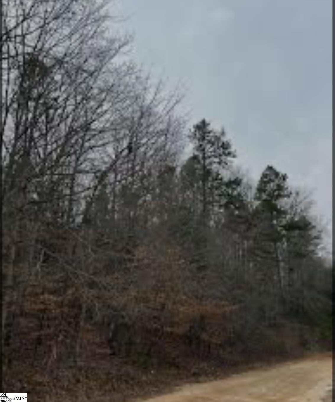 00 Woods Circle Fountain Inn, SC 29644