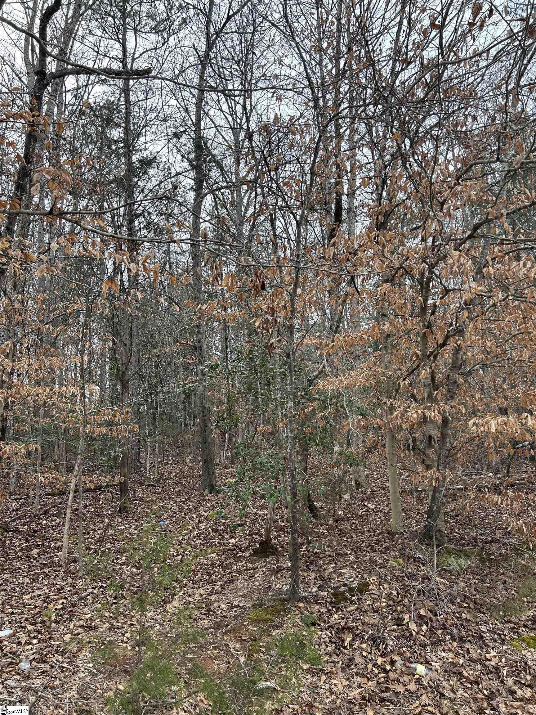 00 Woods Circle Fountain Inn, SC 29644
