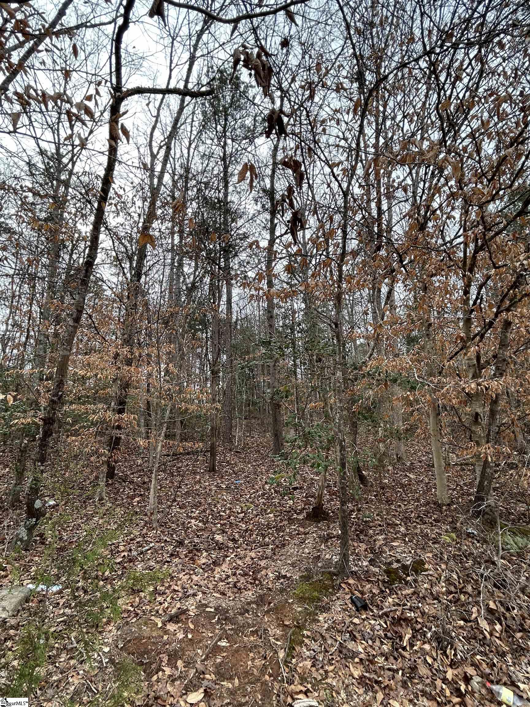 00 Woods Circle Fountain Inn, SC 29644