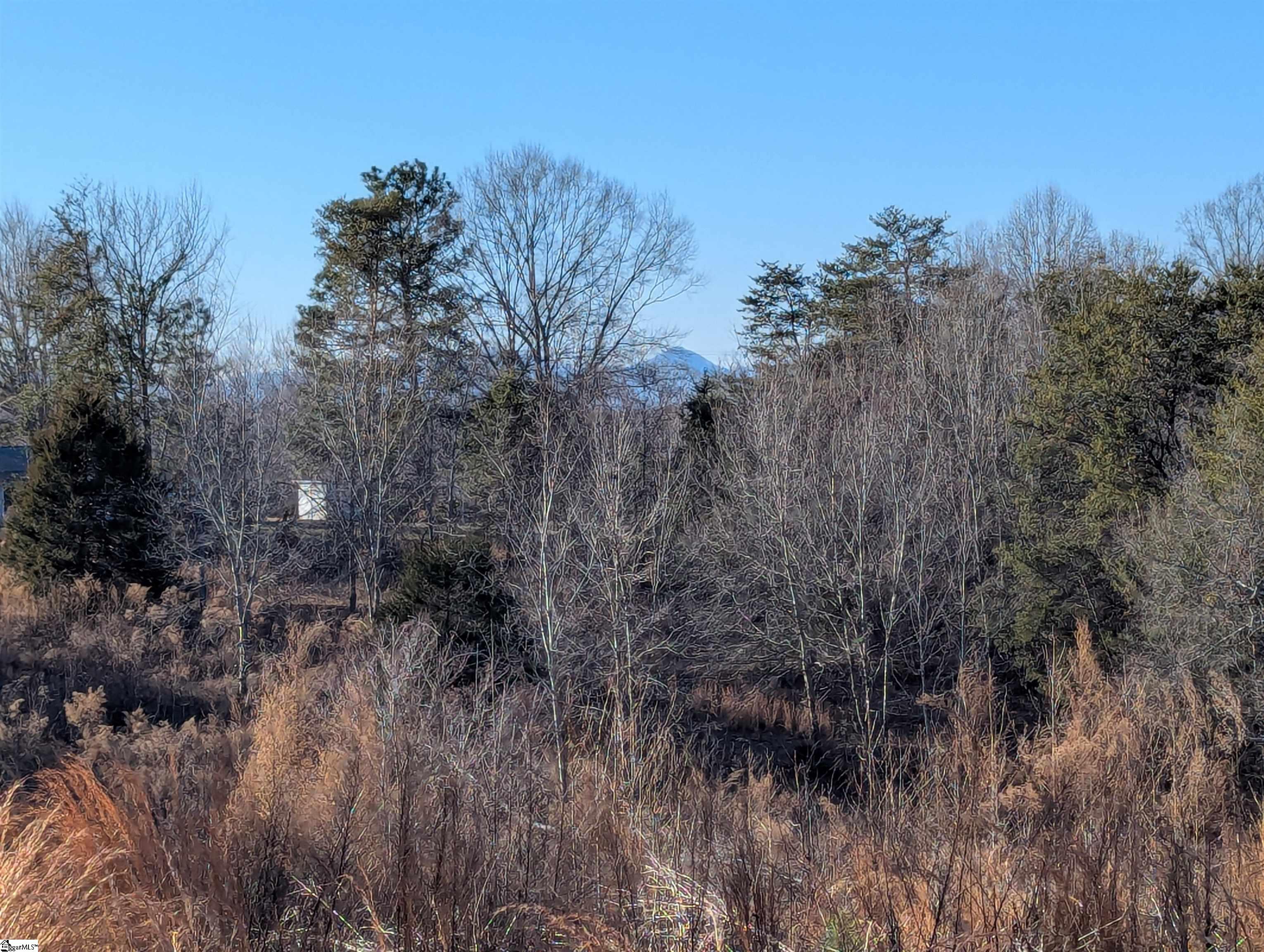440 Old Melvin Hill Road Campobello, SC 29322