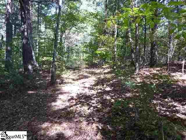 106 Dutchmans Pipe Trail Sunset, SC 29685