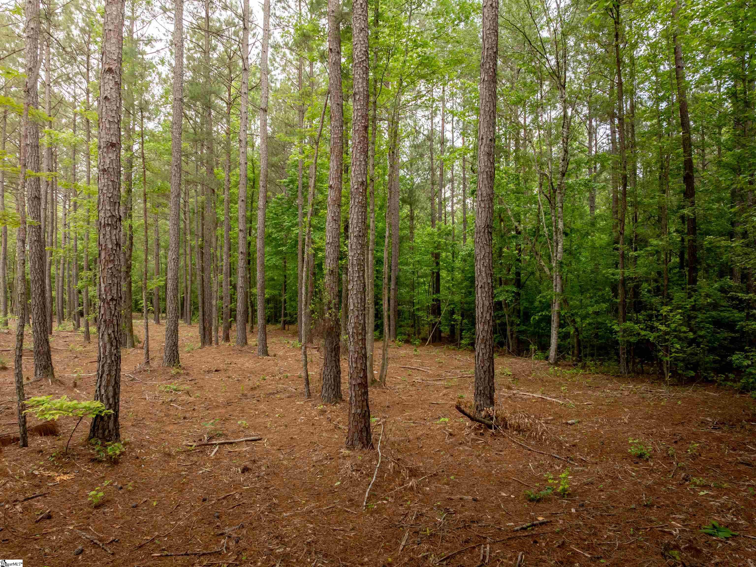 00 Elford Grove Road Jonesville, SC 29353
