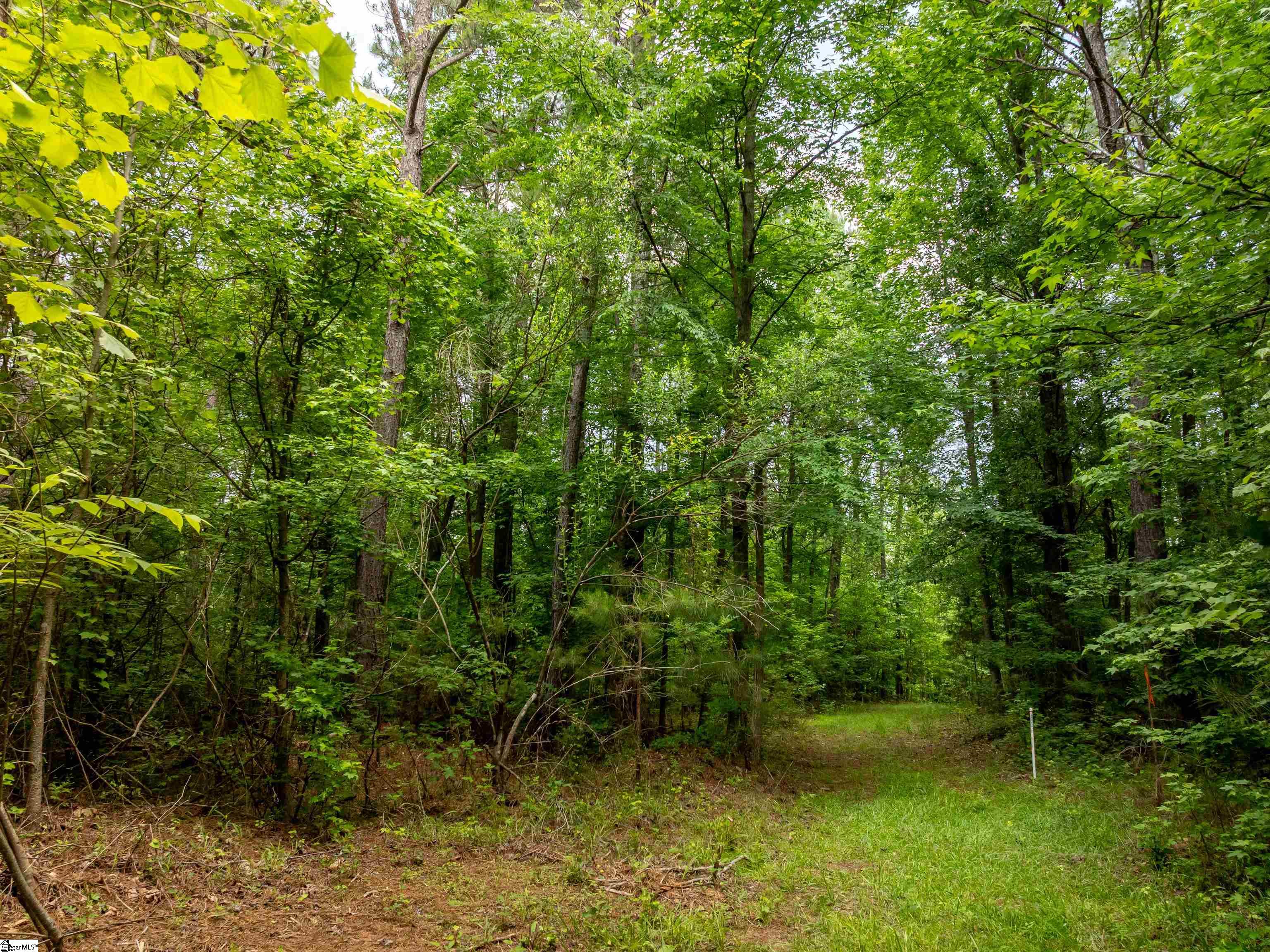 00 Elford Grove Road Jonesville, SC 29353