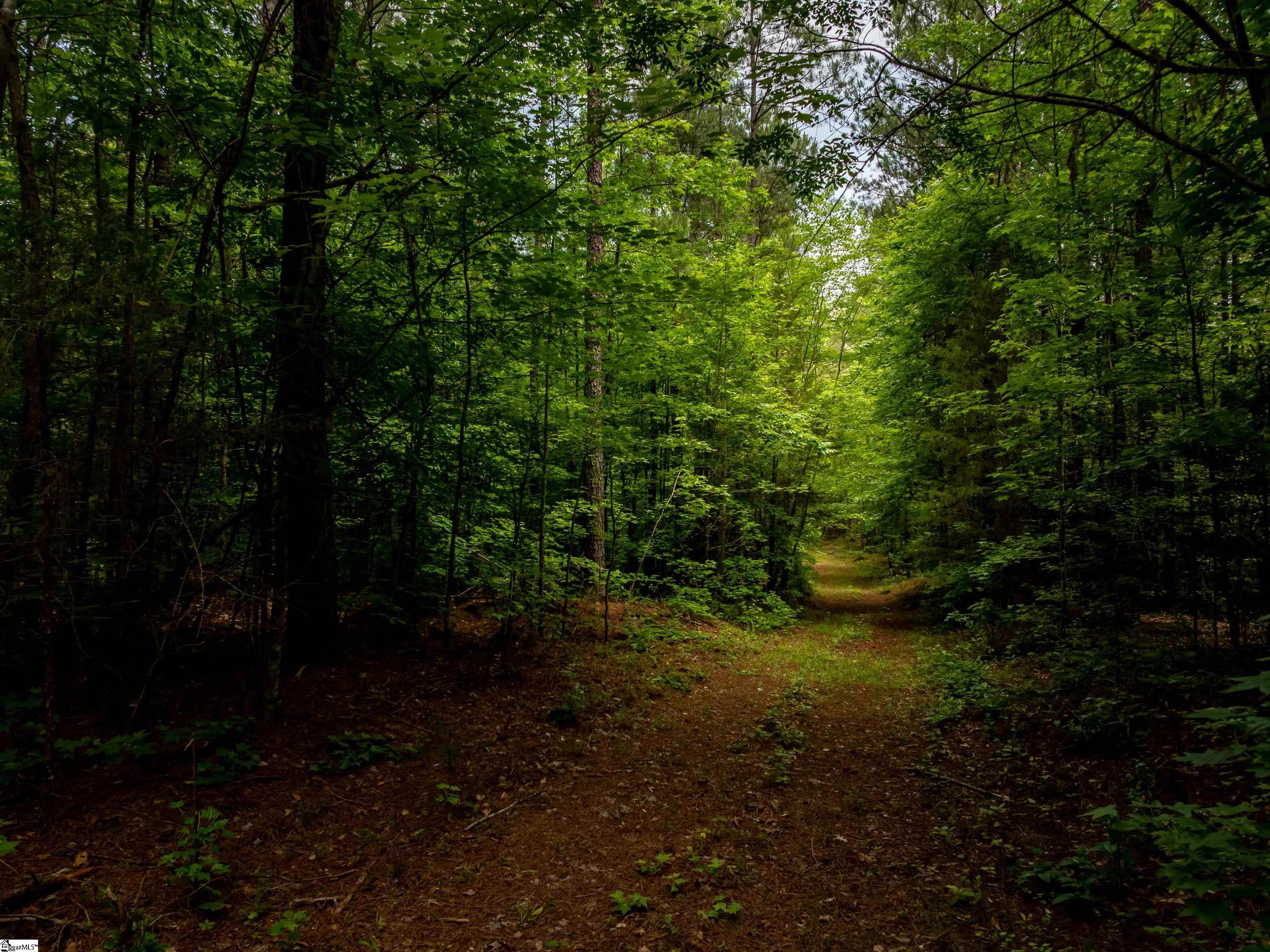 00 Elford Grove Road Jonesville, SC 29353