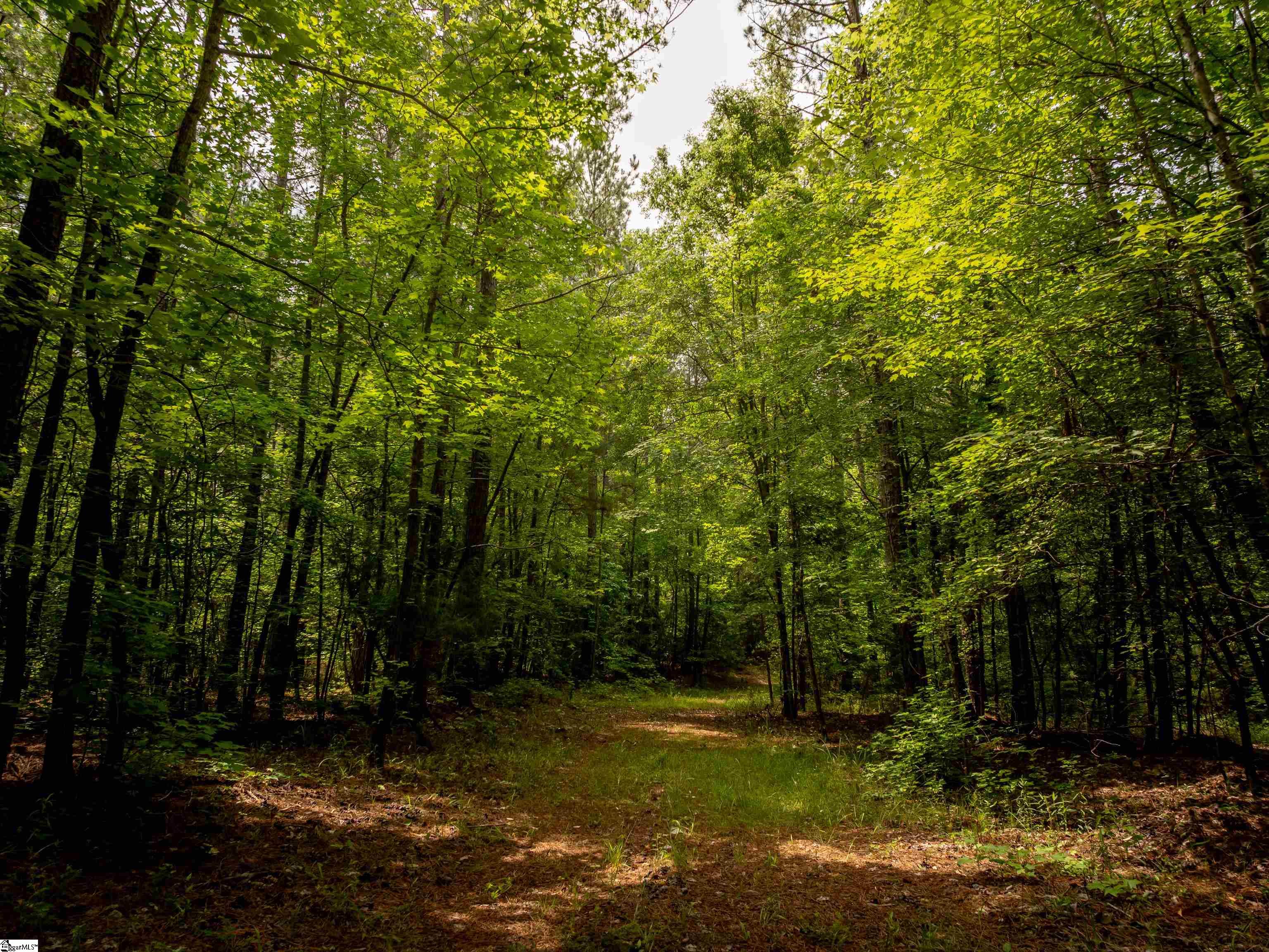 00 Elford Grove Road Jonesville, SC 29353