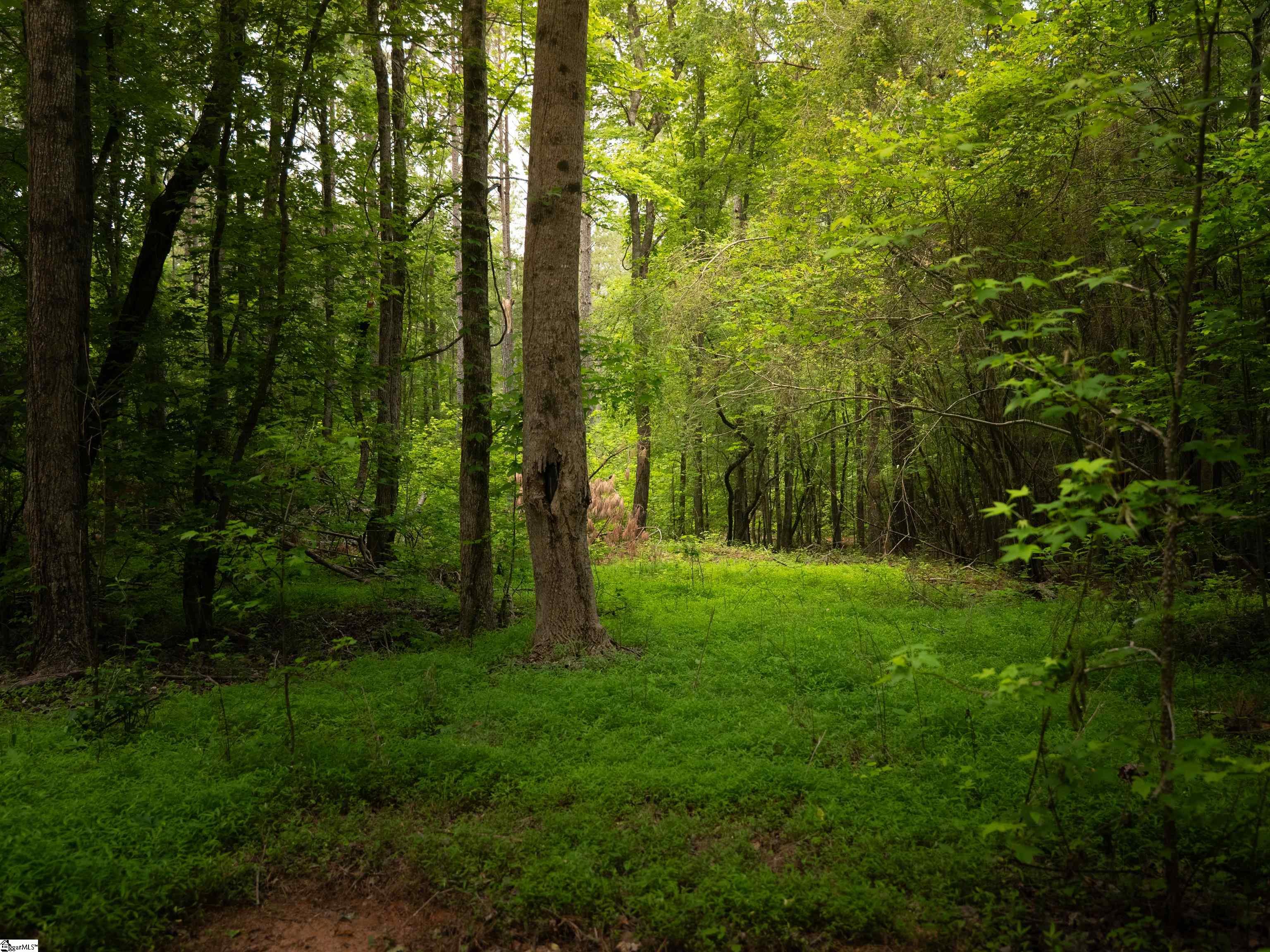00 Elford Grove Road Jonesville, SC 29353