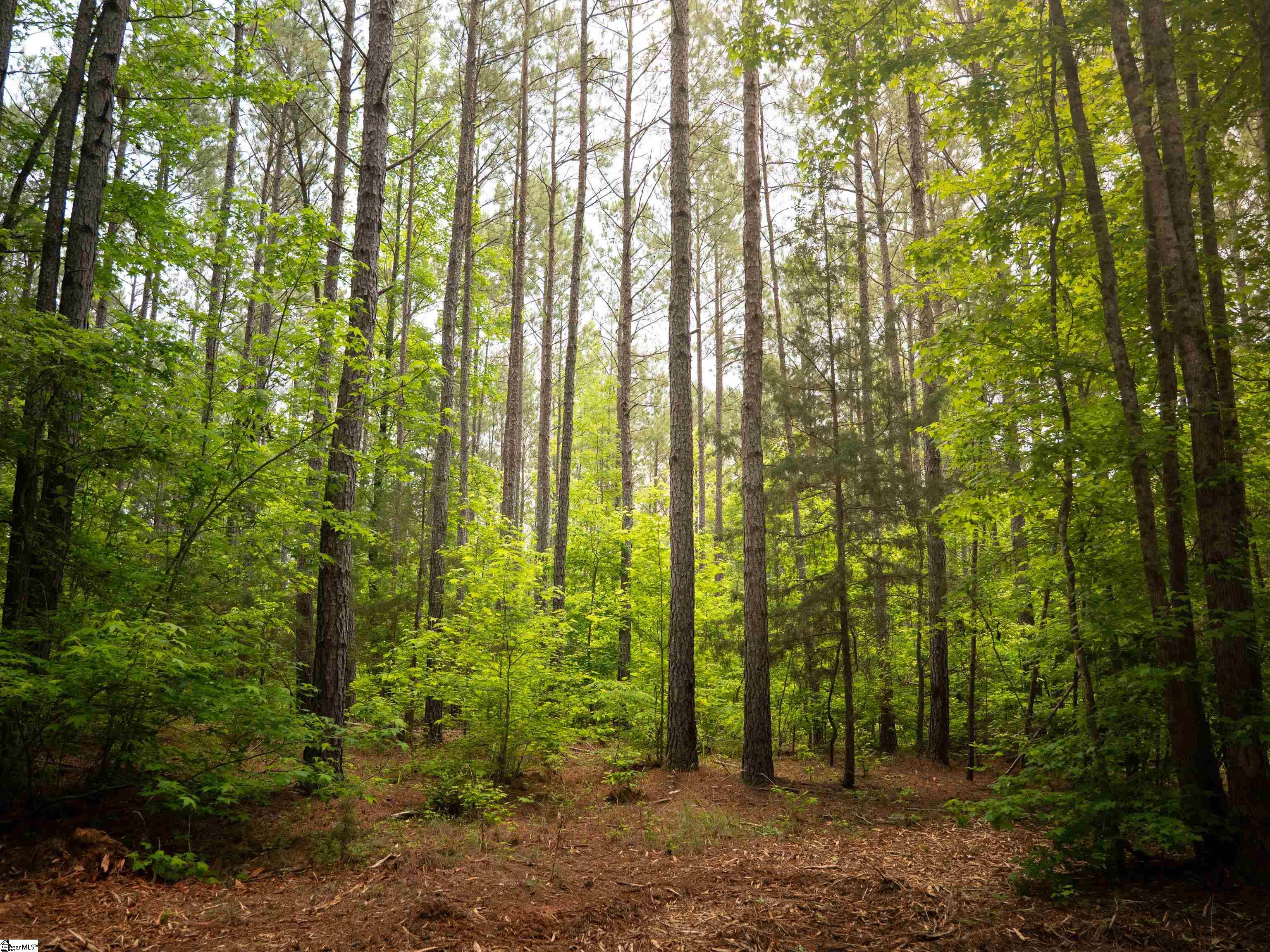 00 Elford Grove Road Jonesville, SC 29353