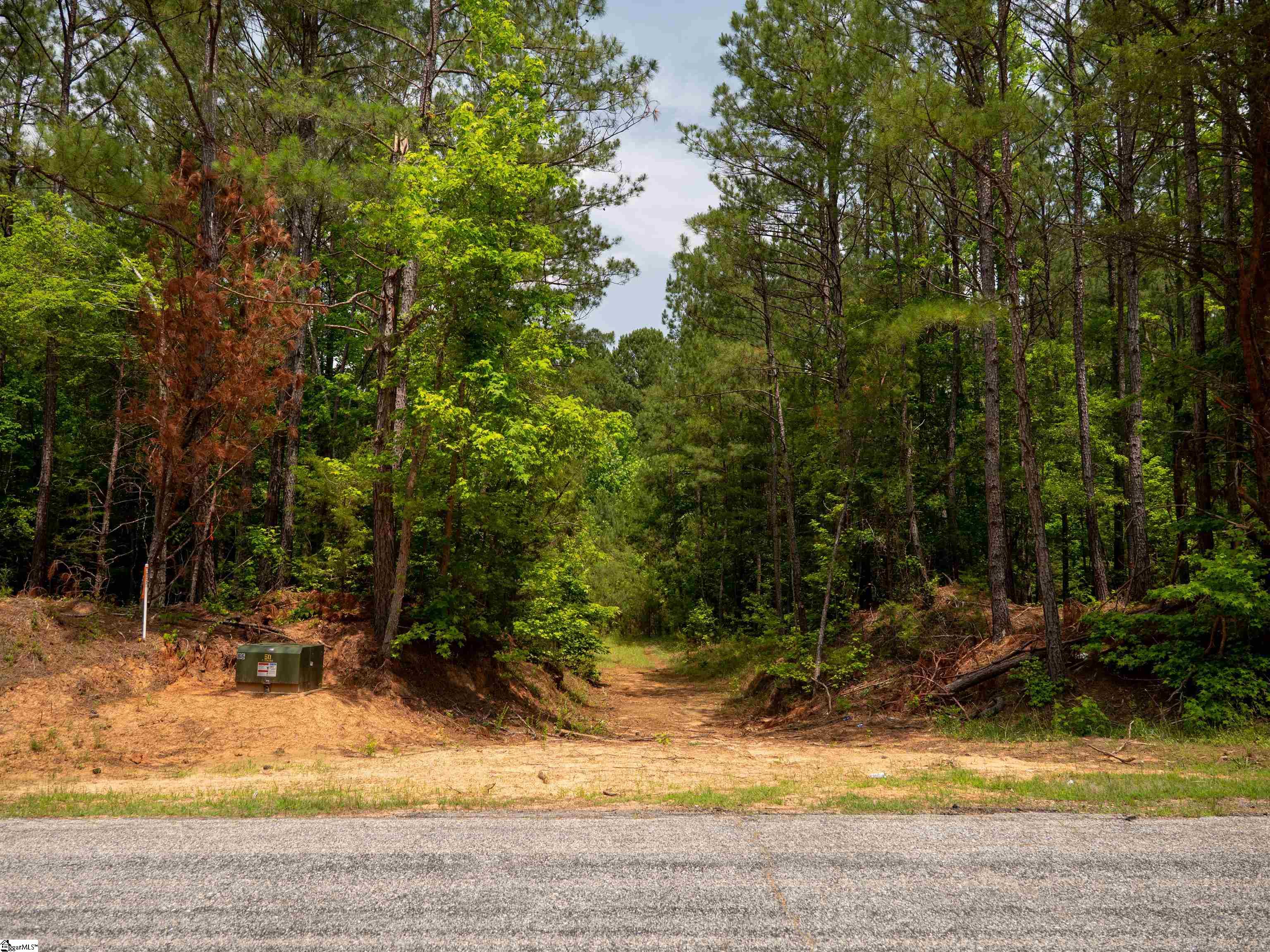 00 Elford Grove Road Jonesville, SC 29353