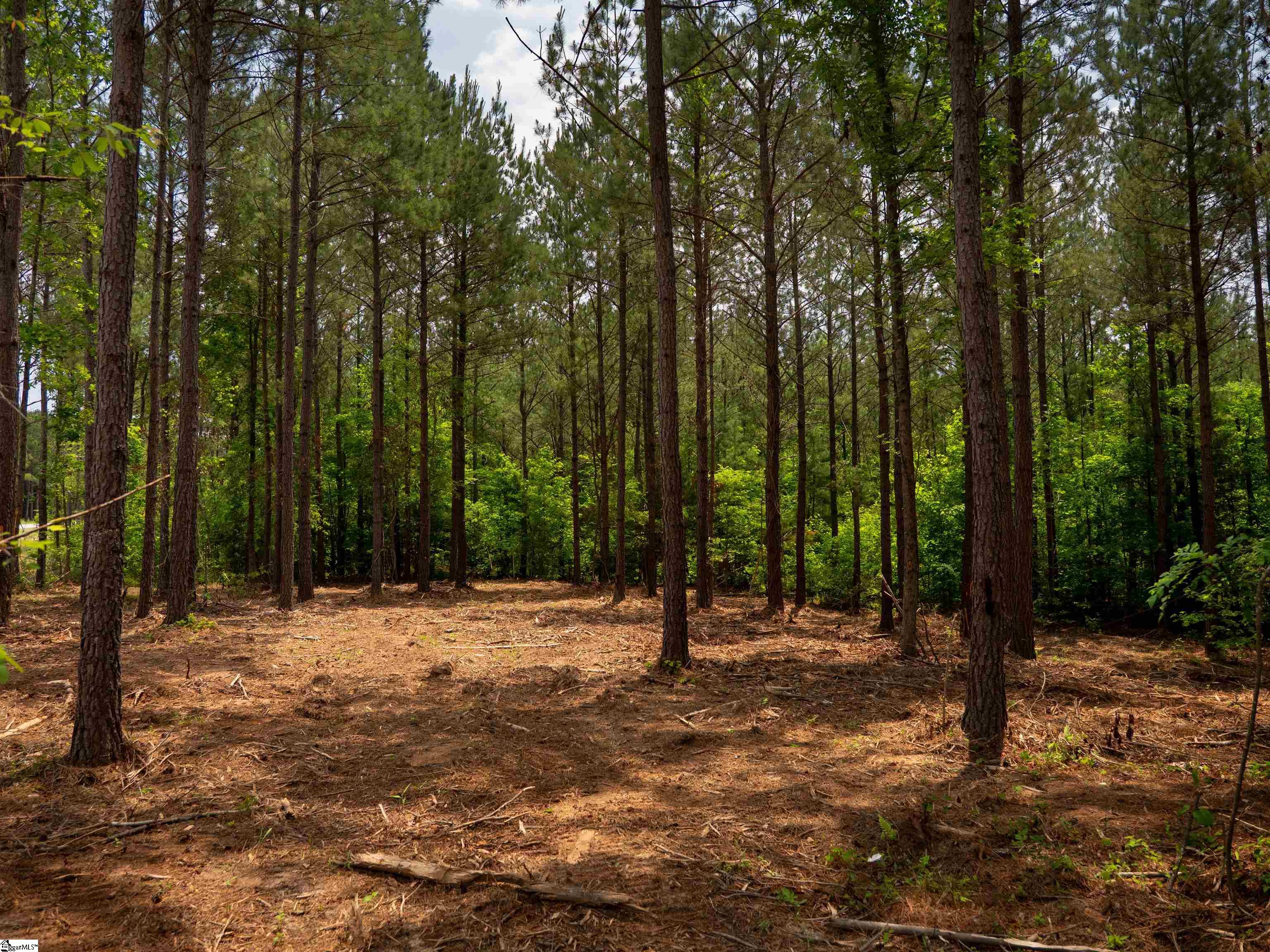 00 Elford Grove Road Jonesville, SC 29353
