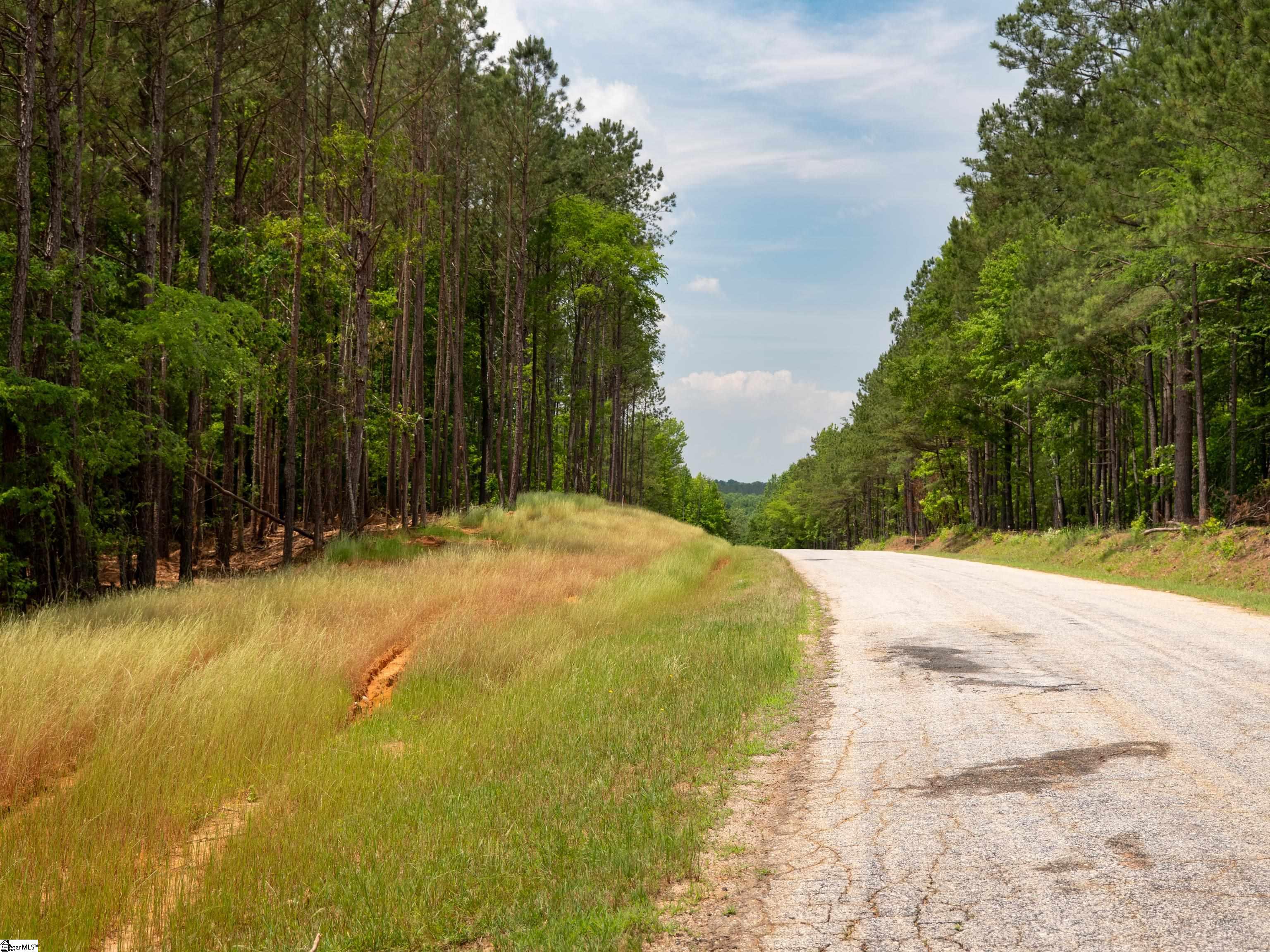 00 Elford Grove Road Jonesville, SC 29353