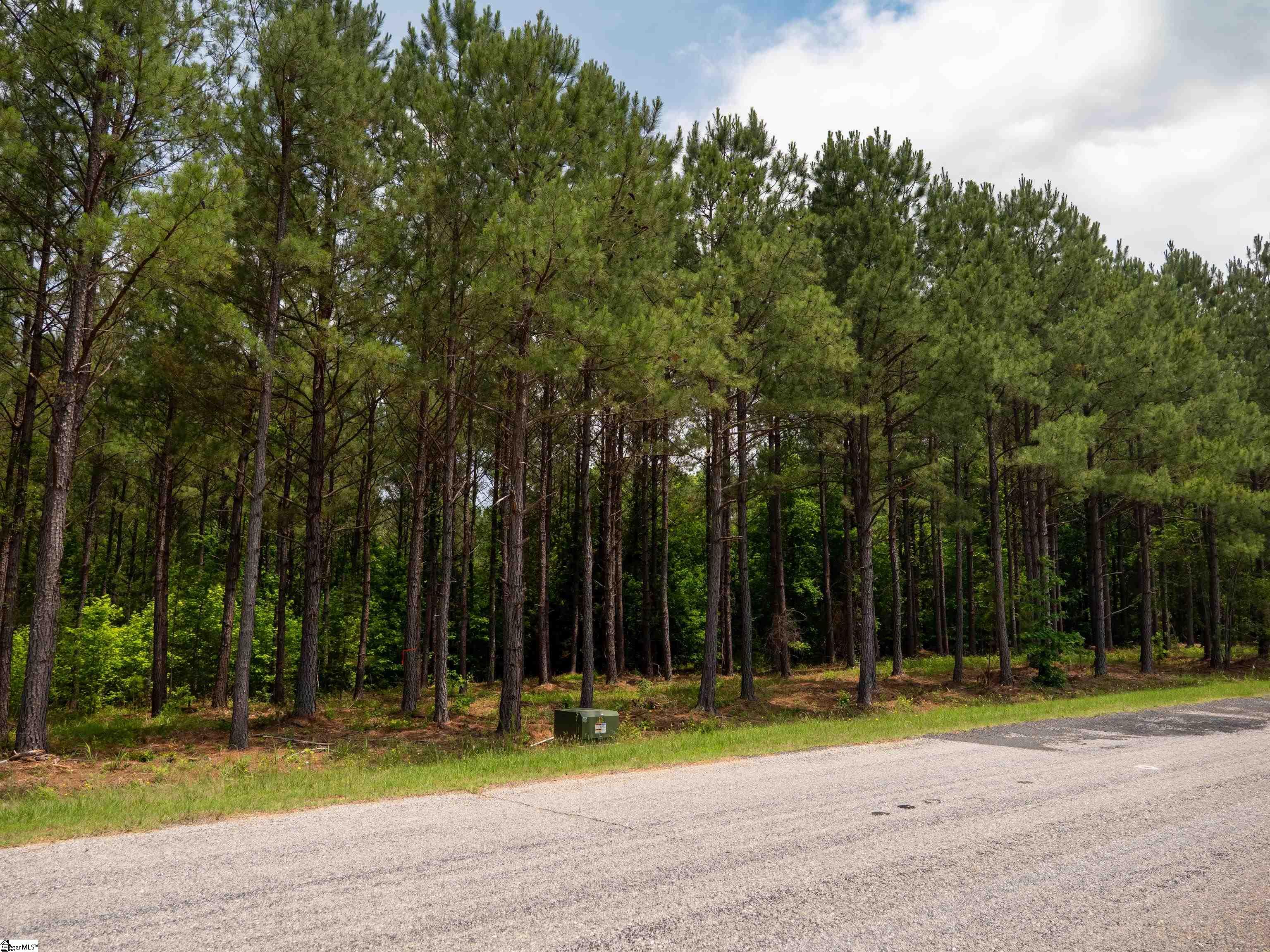 00 Elford Grove Road Jonesville, SC 29353