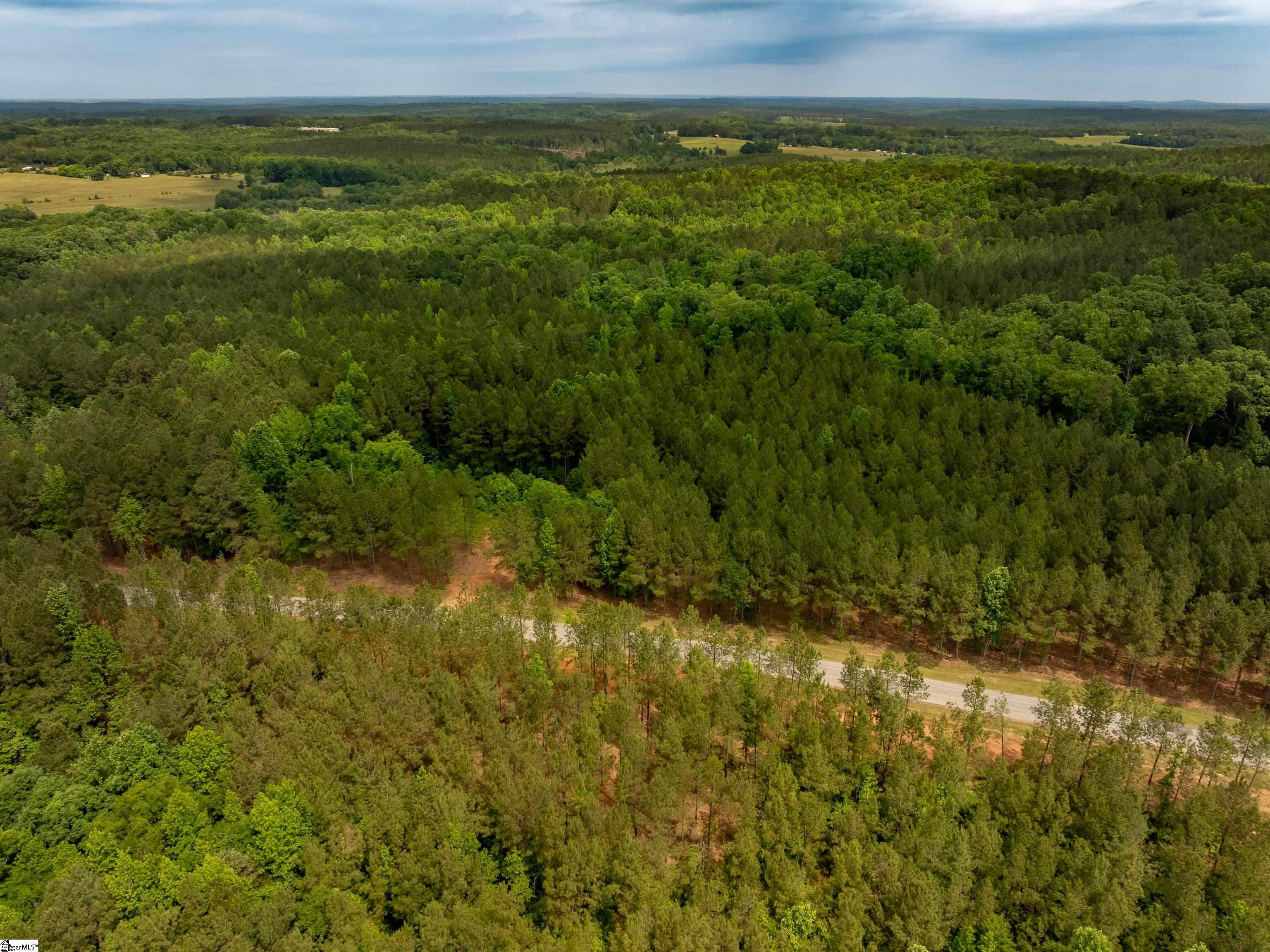 00 Elford Grove Road Jonesville, SC 29353