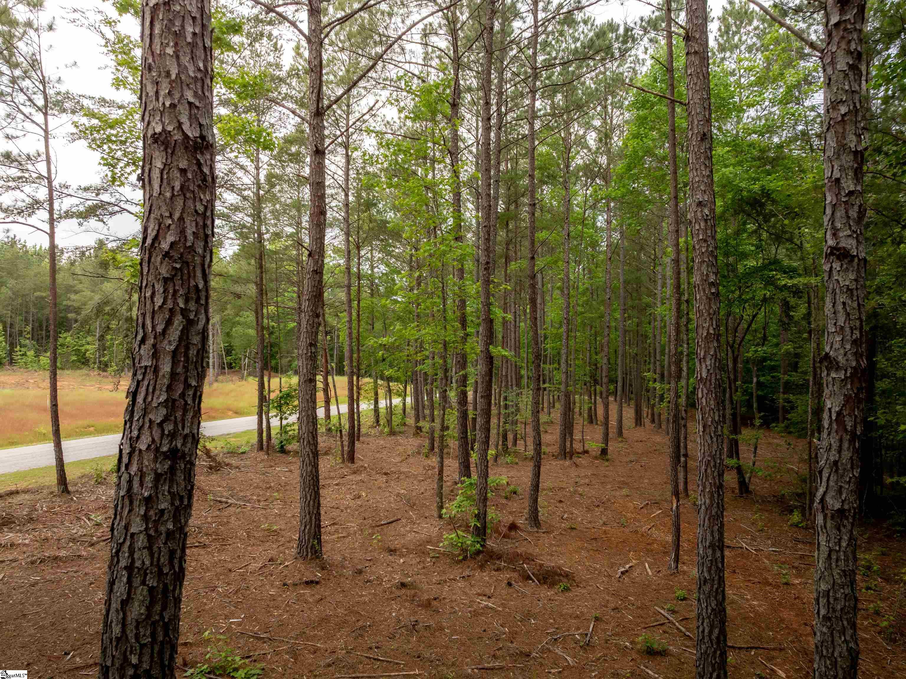 00 Elford Grove Road Jonesville, SC 29353