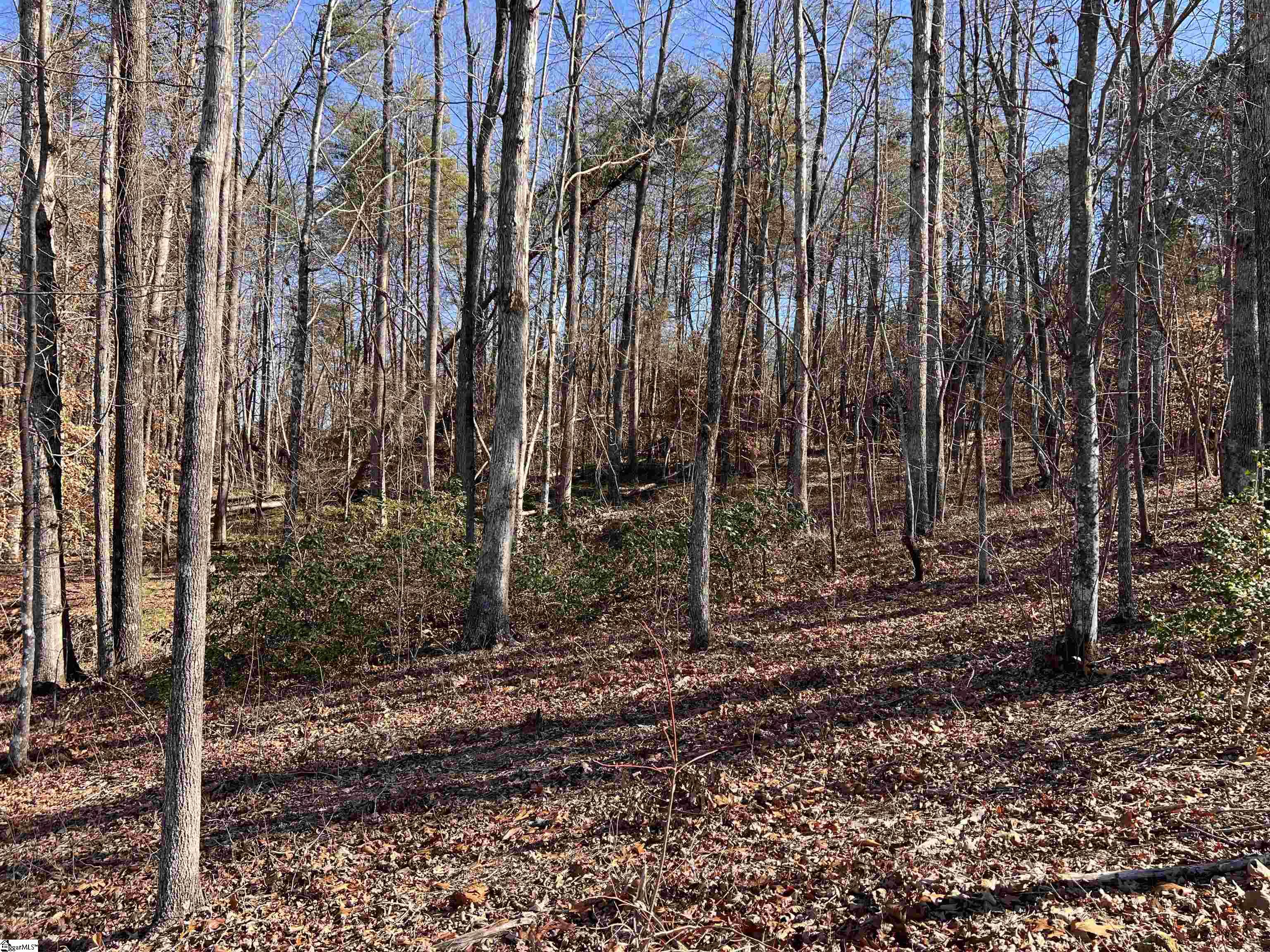 163 Red Hill Road Pickens, SC 29671