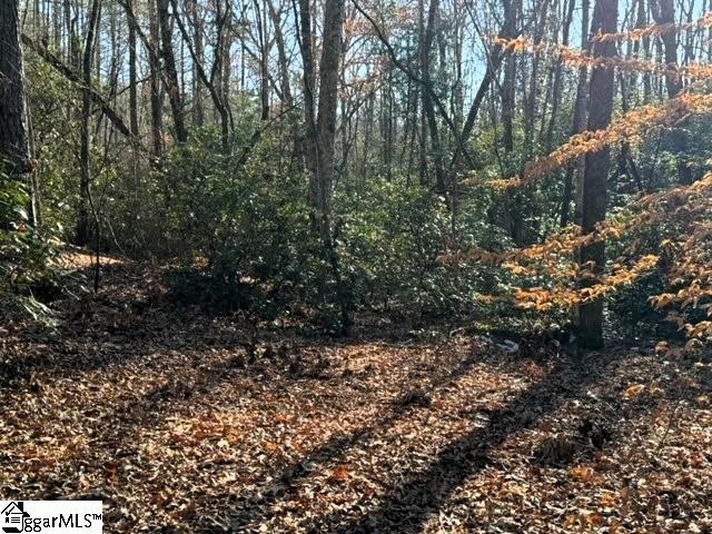 Mountain Mint Way Salem, SC 29676