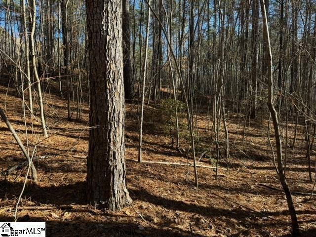 Mountain Mint Way Salem, SC 29676