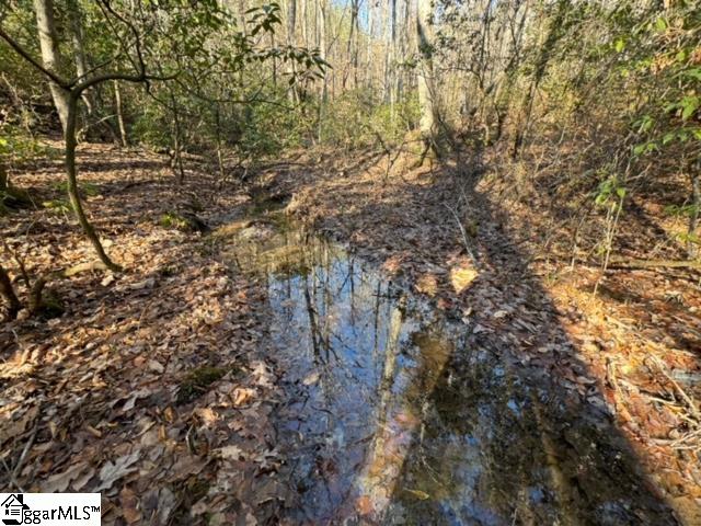 Mountain Mint Way Salem, SC 29676