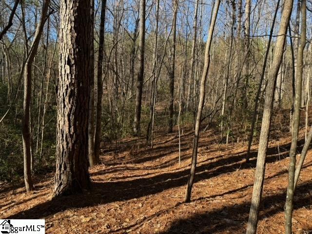 Mountain Mint Way Salem, SC 29676