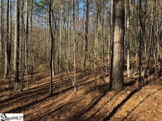 Mountain Mint Way Salem, SC 29676