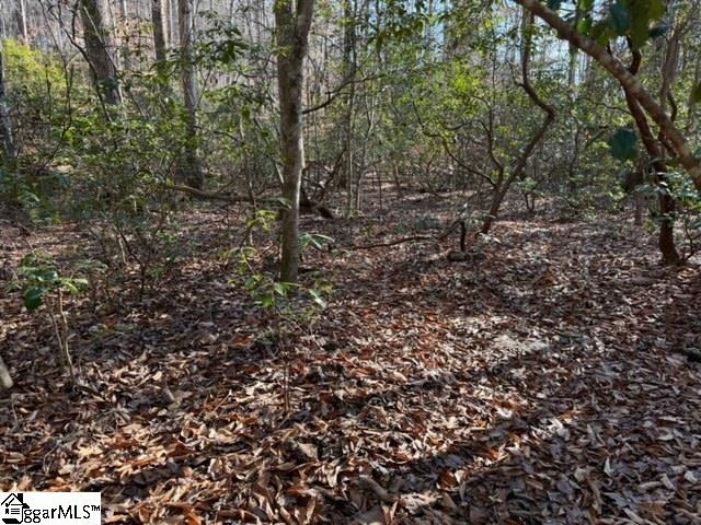 Mountain Mint Way Salem, SC 29676