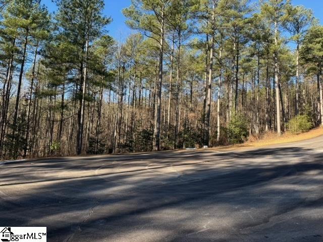 Mountain Mint Way Salem, SC 29676