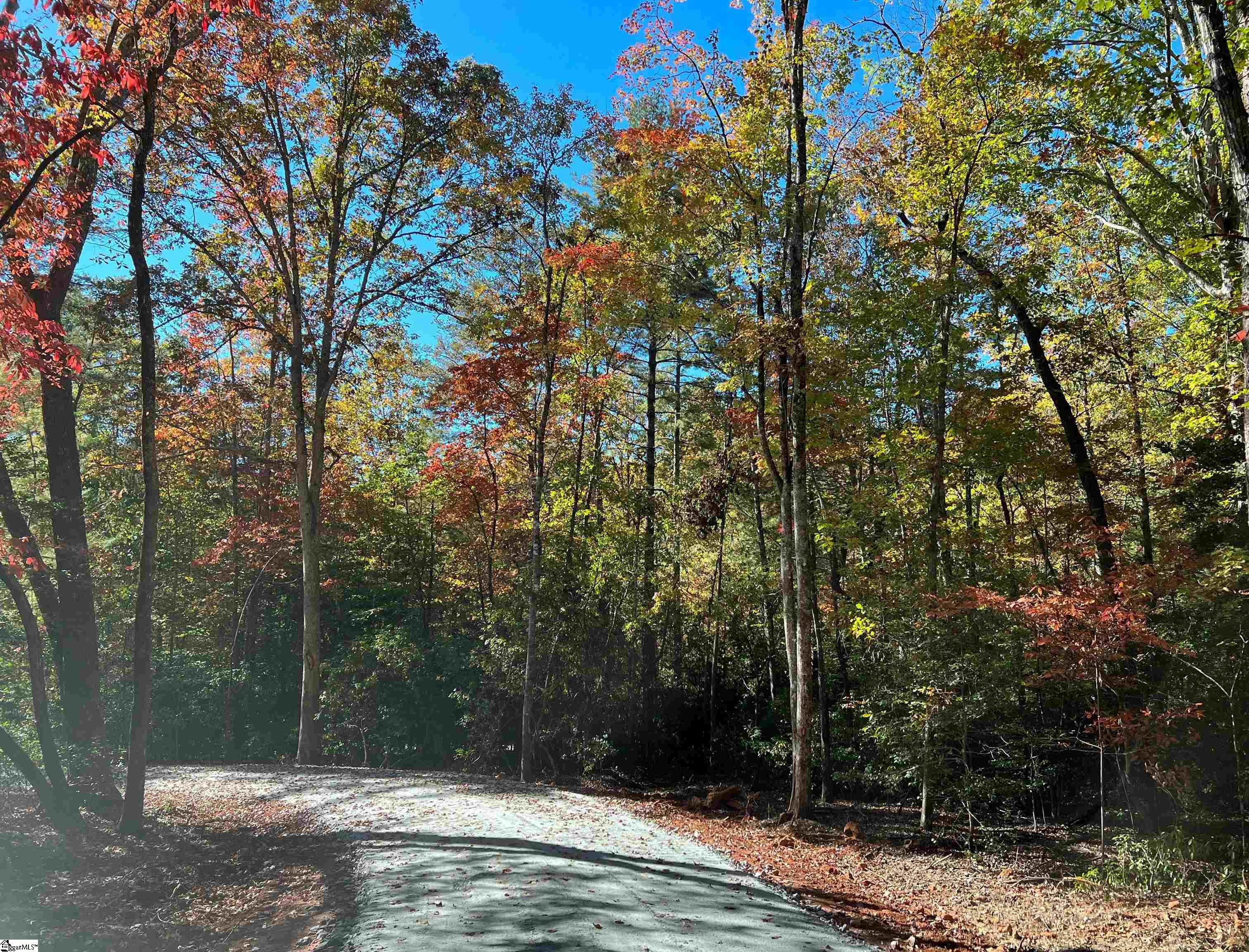 568 Meece Mill Road Pickens, SC 29671