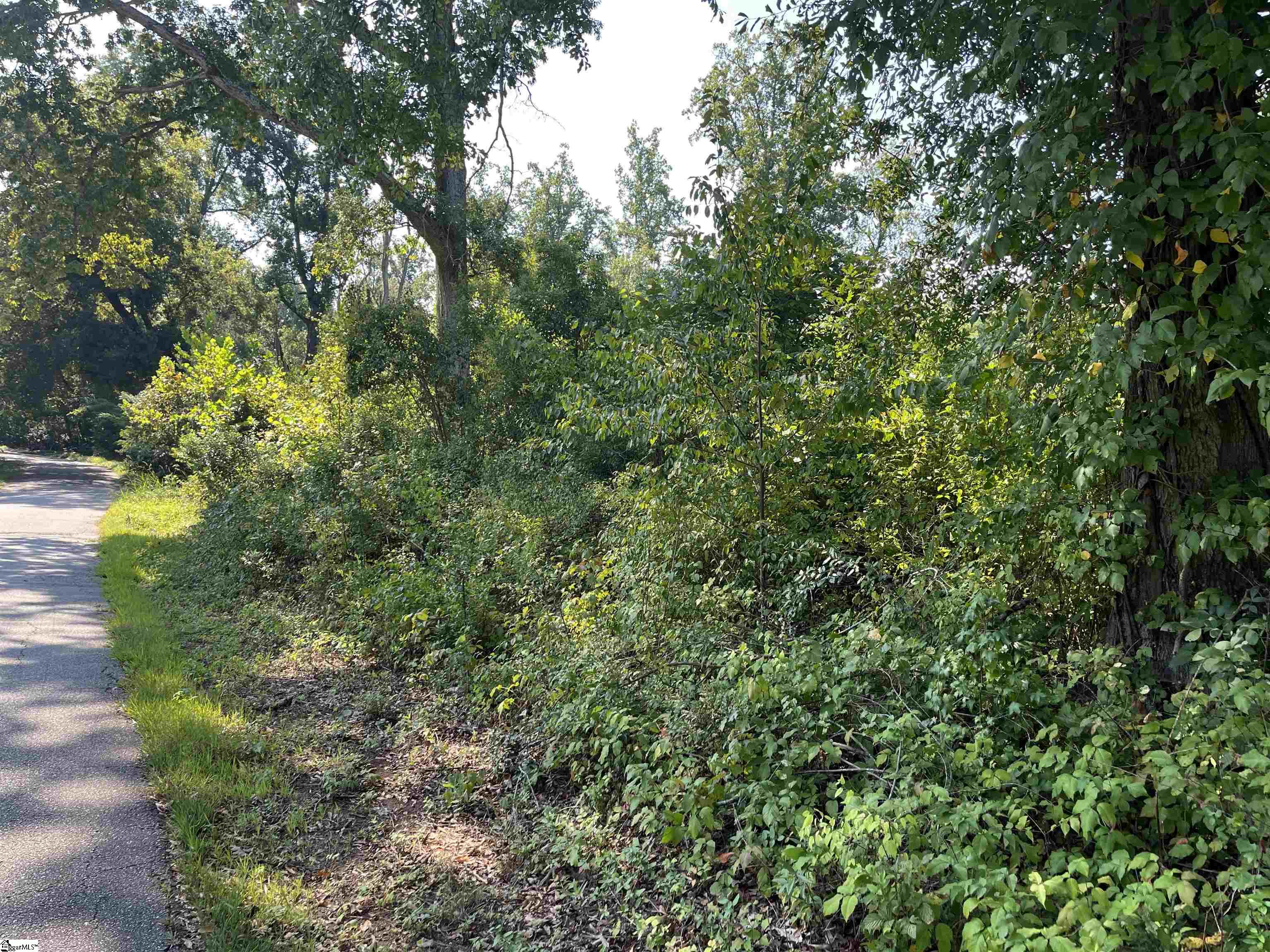 00 Porter Street Wellford, SC 29385