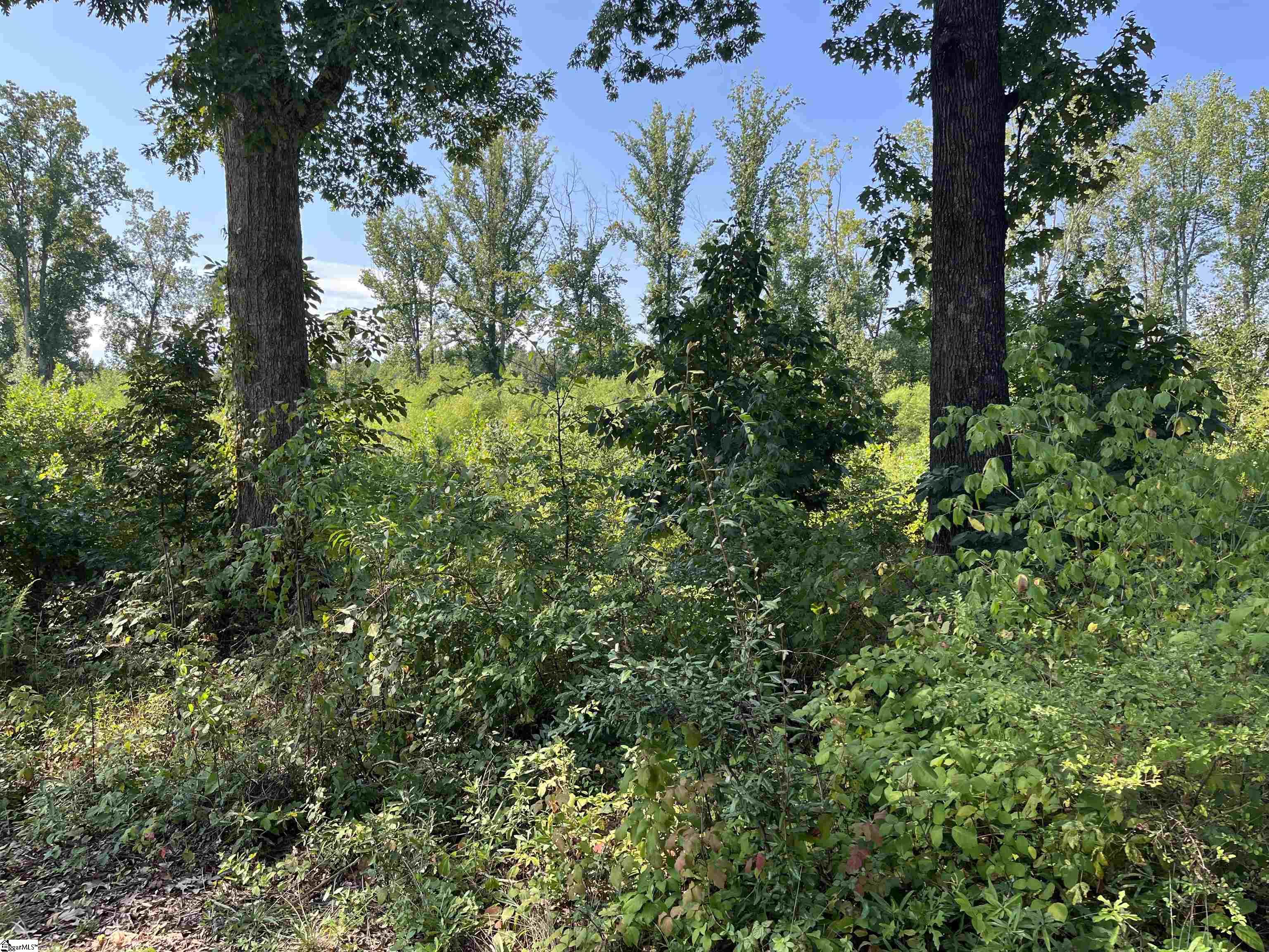 00 Porter Street Wellford, SC 29385