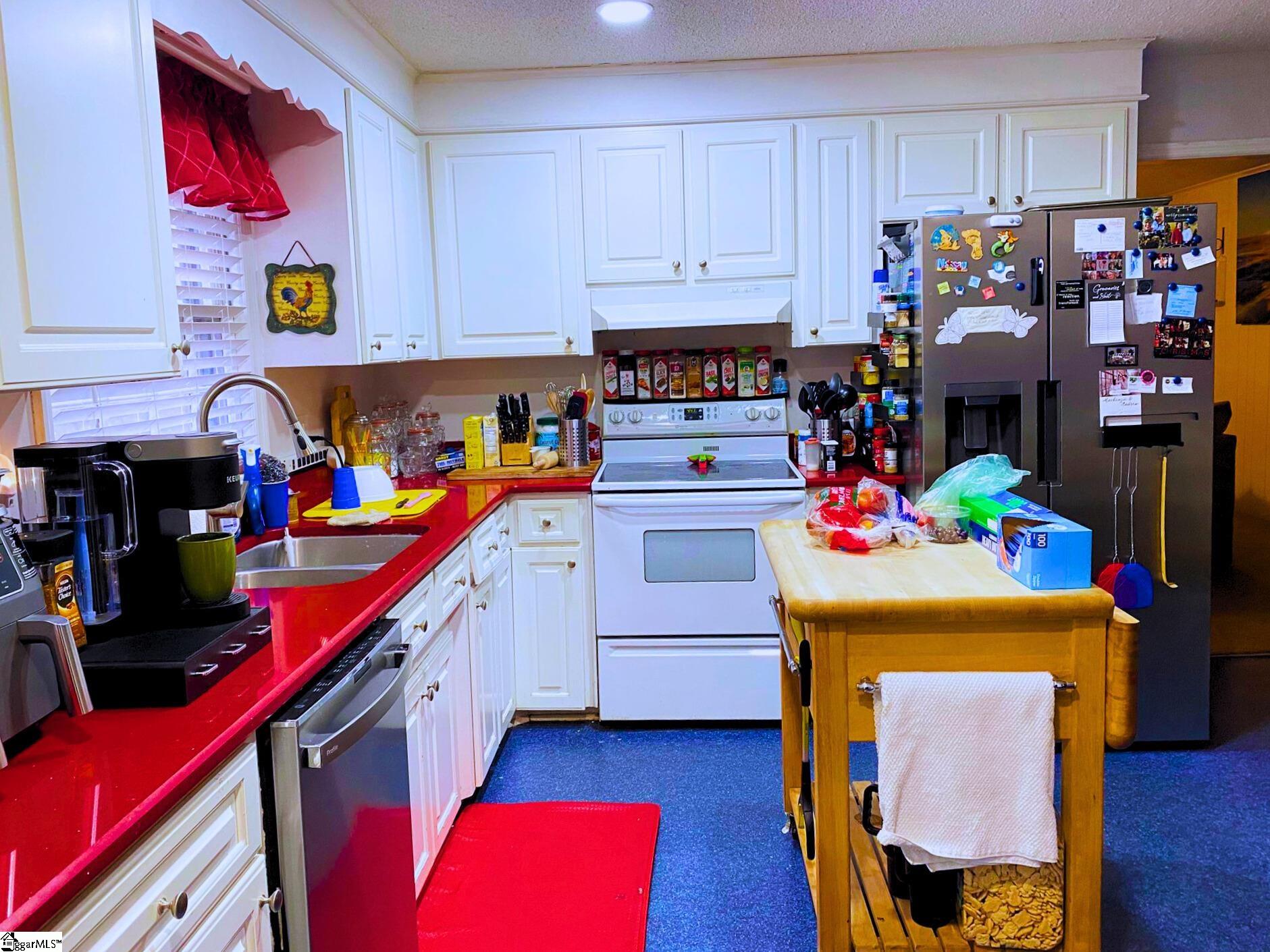 107 Mulberry Street Inman, SC 29349-9119