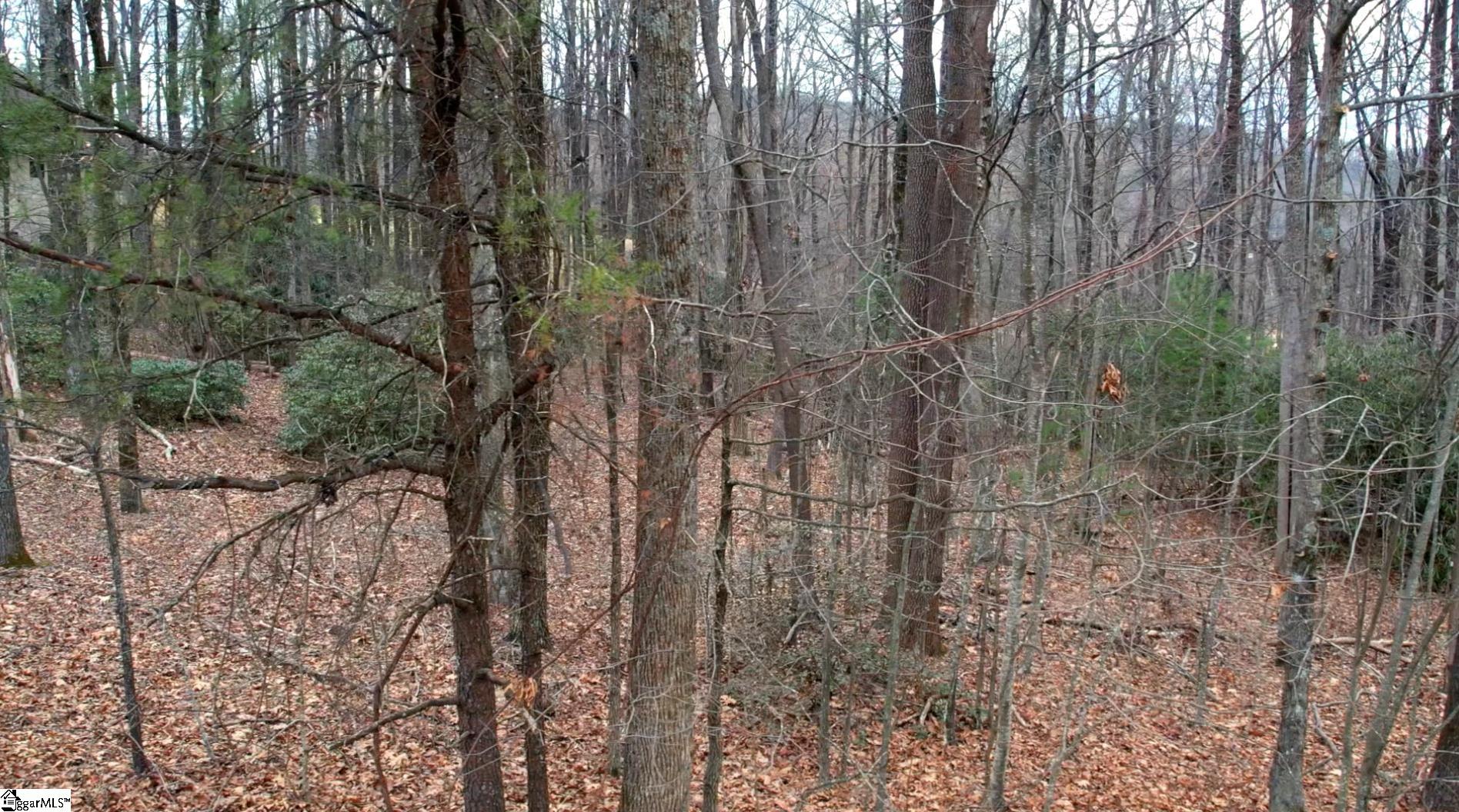 66 Cliffs Parkway Landrum, SC 29356