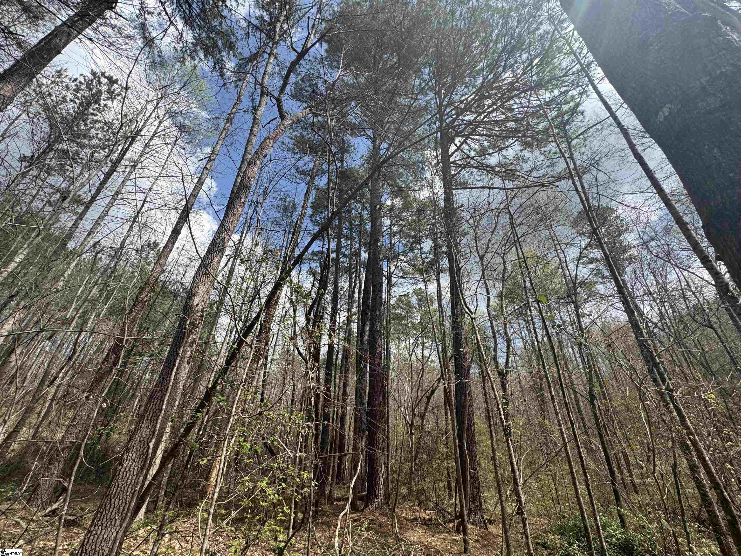 110 Chauga Valley Road Westminster, SC 29693