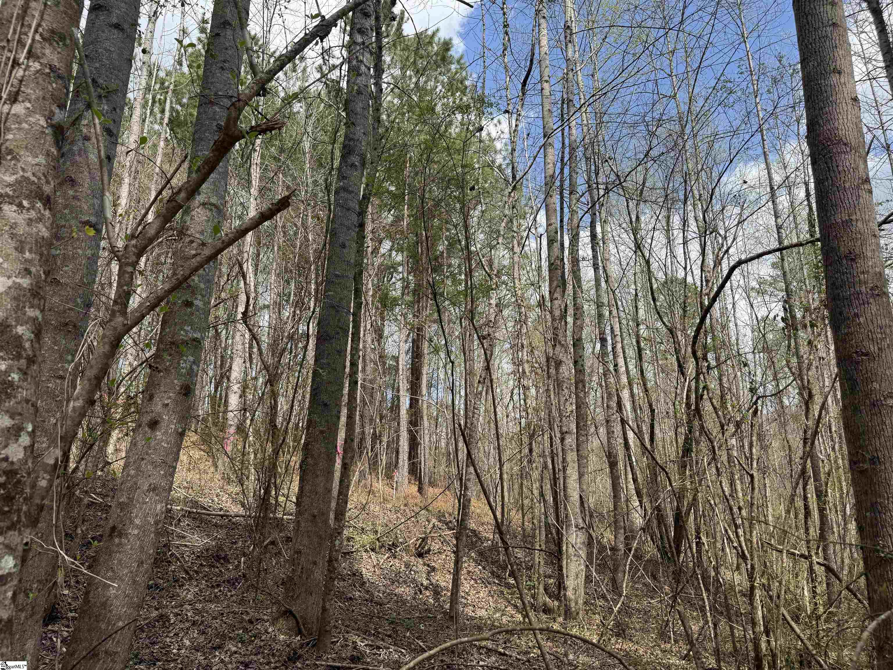 110 Chauga Valley Road Westminster, SC 29693