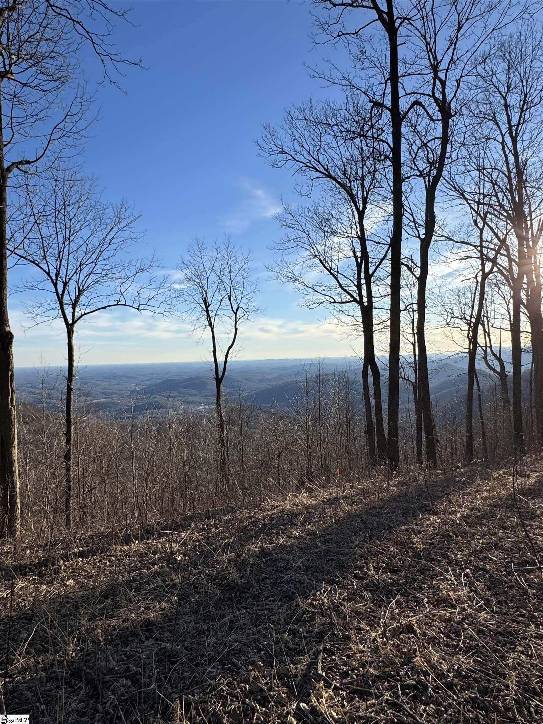 278 Bella Vista Court Zirconia, NC 28790