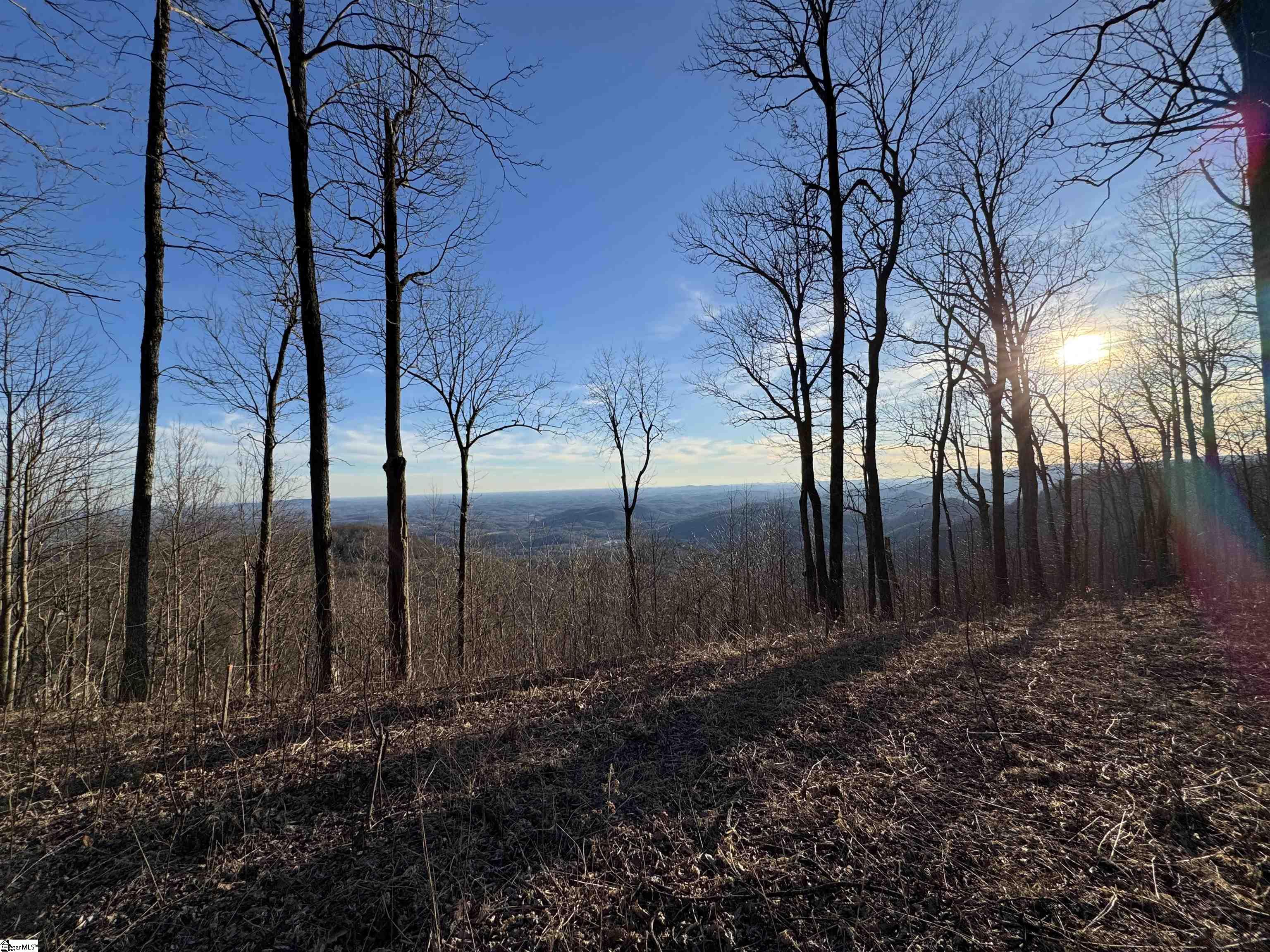 278 Bella Vista Court Zirconia, NC 28790