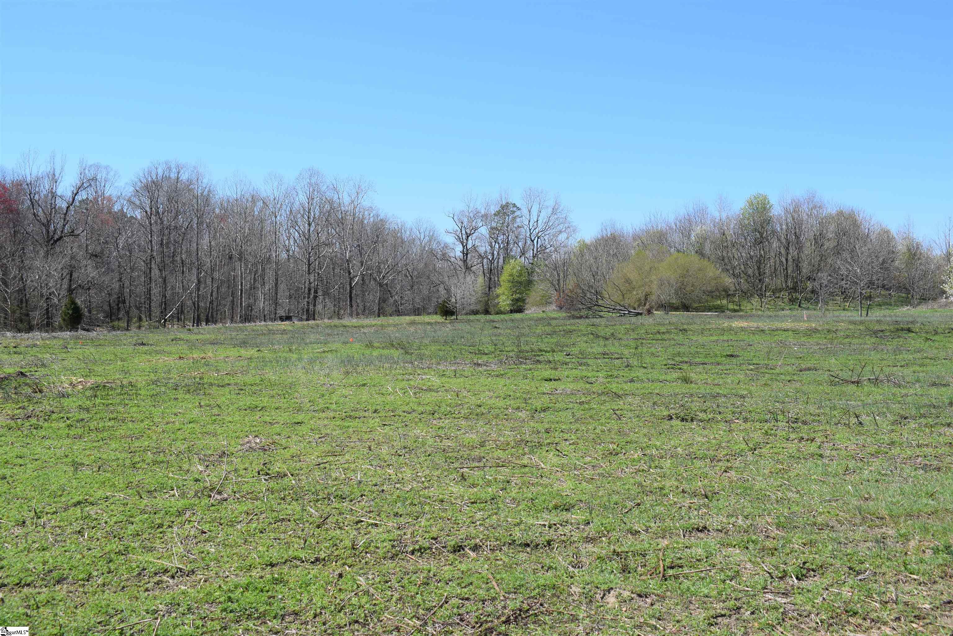 Prince Road UNIT Lot 4 Columbus, NC 28722-6507