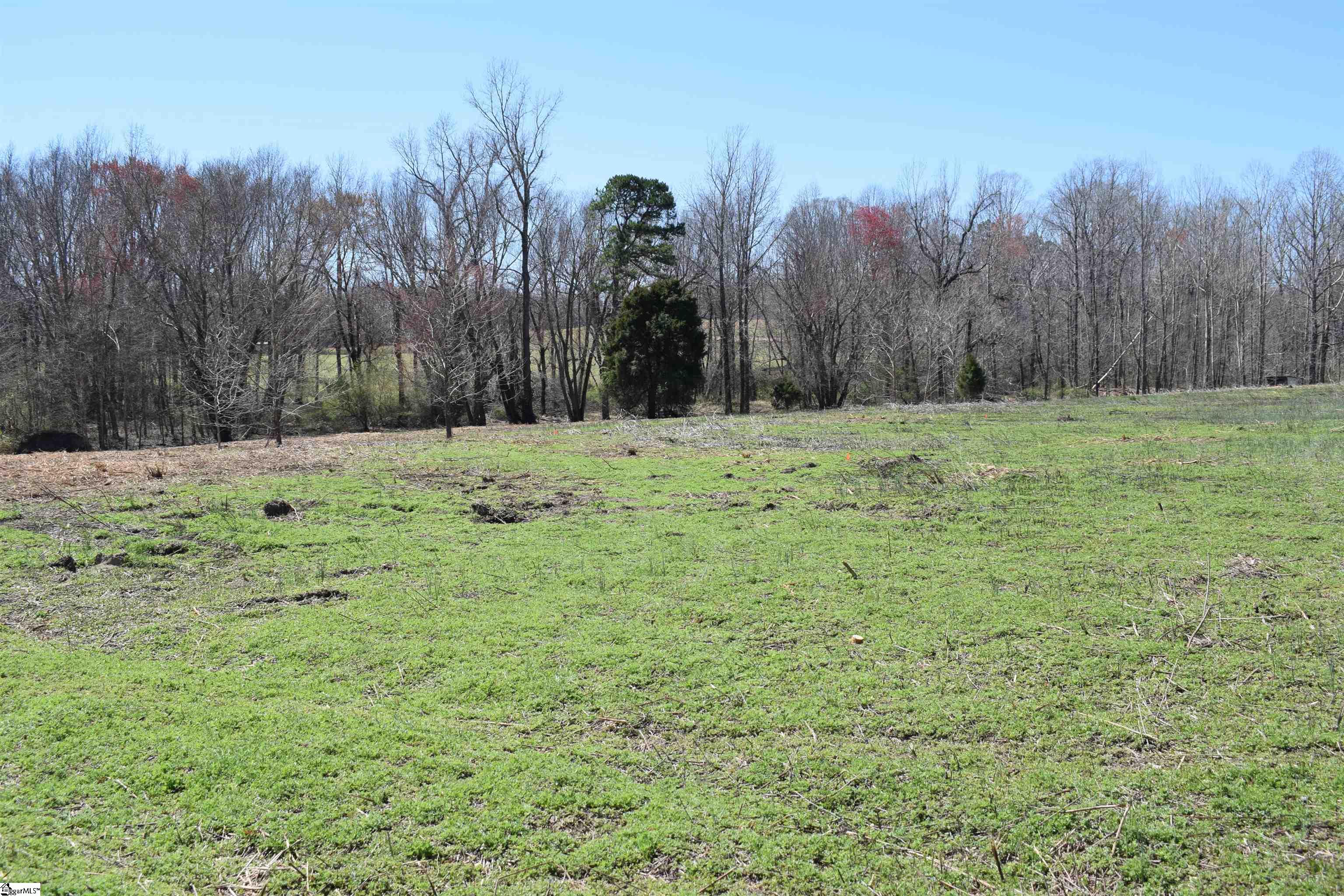 Prince Road UNIT Lot 4 Columbus, NC 28722-6507