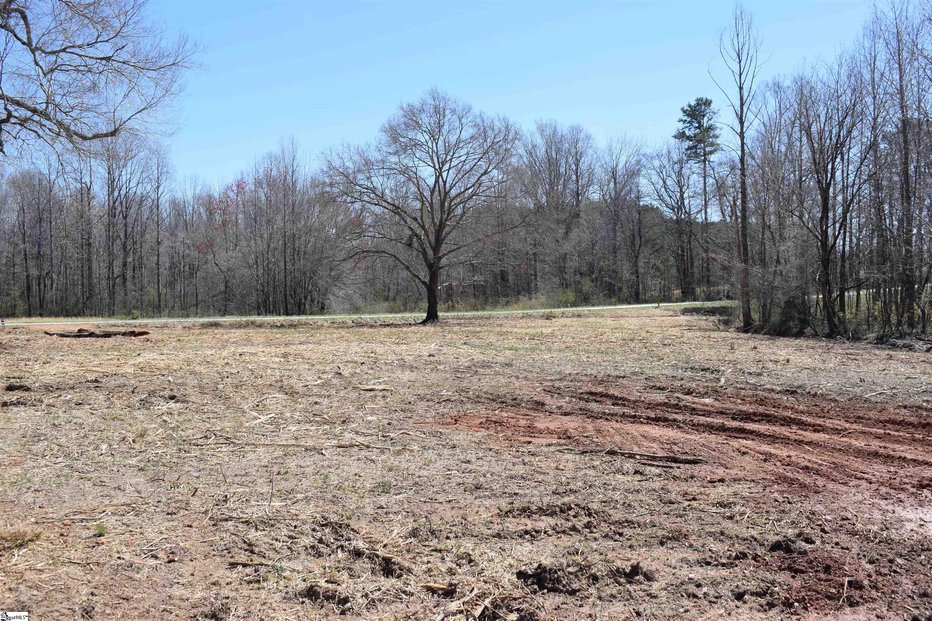 Prince Road UNIT Lot 4 Columbus, NC 28722-6507