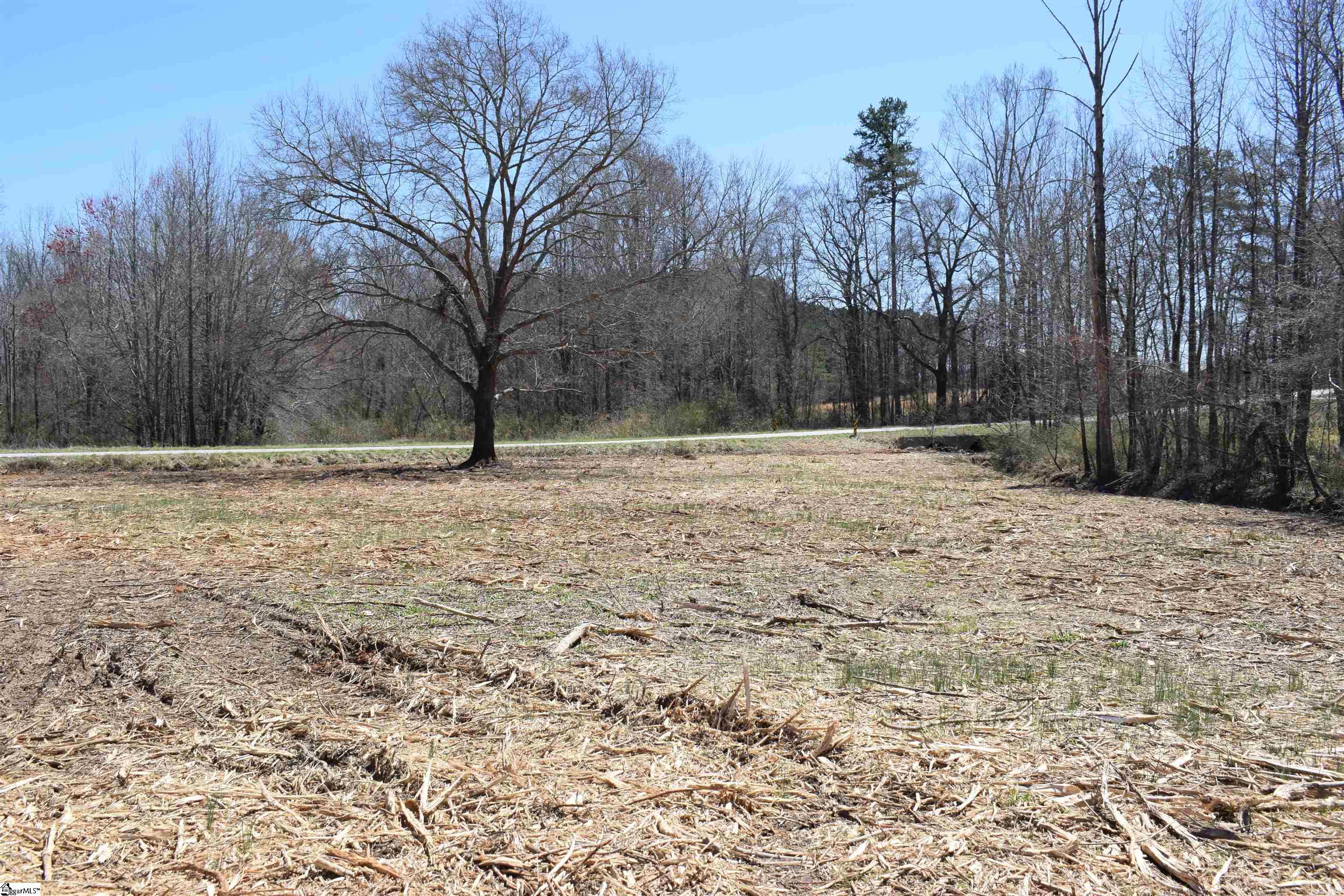 Prince Road UNIT Lot 4 Columbus, NC 28722-6507